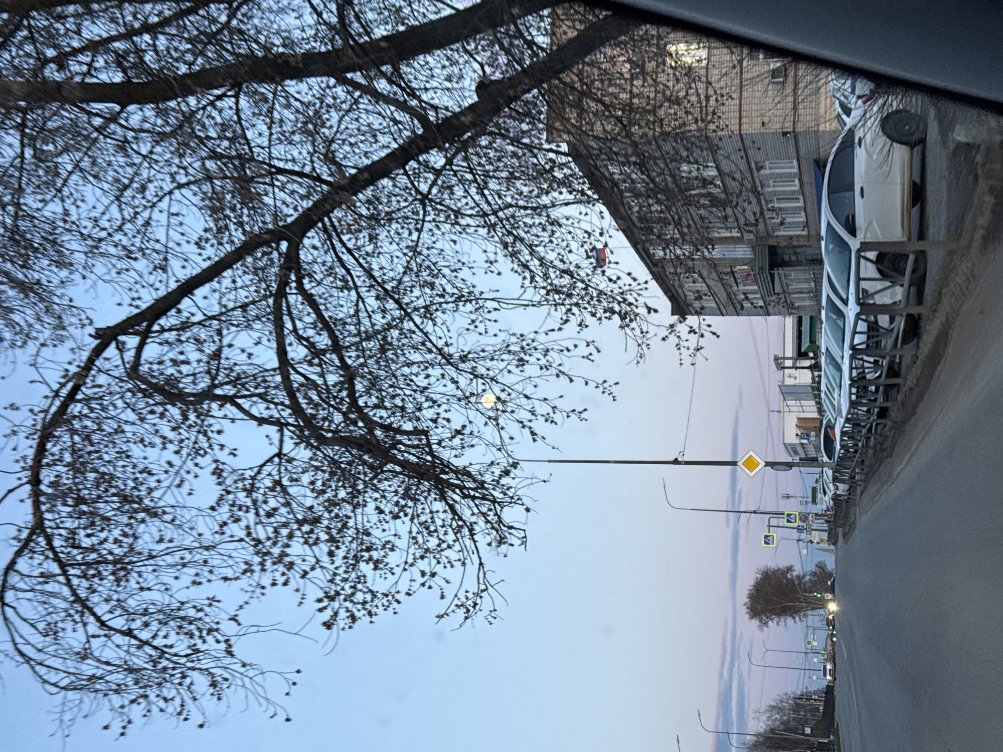 This image captures a street scene at what appears to be dawn or dusk, given the soft, pastel hues of the sky and the visible moon. The perspective is tilted, suggesting it was taken from inside a vehicle looking outwards.
In the foreground, a prominent bare tree with numerous branches and small buds or seeds fills the left side of the frame, silhouetted against the sky. A clear, bright moon is visible through these branches in the upper left quadrant. The sky itself is a gradient of light blue transitioning to soft pink and purple tones towards the horizon.
To the right, a multi-story building, likely an apartment block, with a textured facade and several windows, stands alongside the road. Below the building, a row of parked cars is visible. A paved road stretches into the distance on the right, lined with streetlights and several traffic signs. Notable signs include a yellow diamond (indicating a priority road) and blue square signs with a white triangle (indicating a pedestrian crossing). Another tree with some foliage can be seen further down the road. No people are visible, and there is no discernible text in the image. The scene conveys a calm and serene atmosphere.