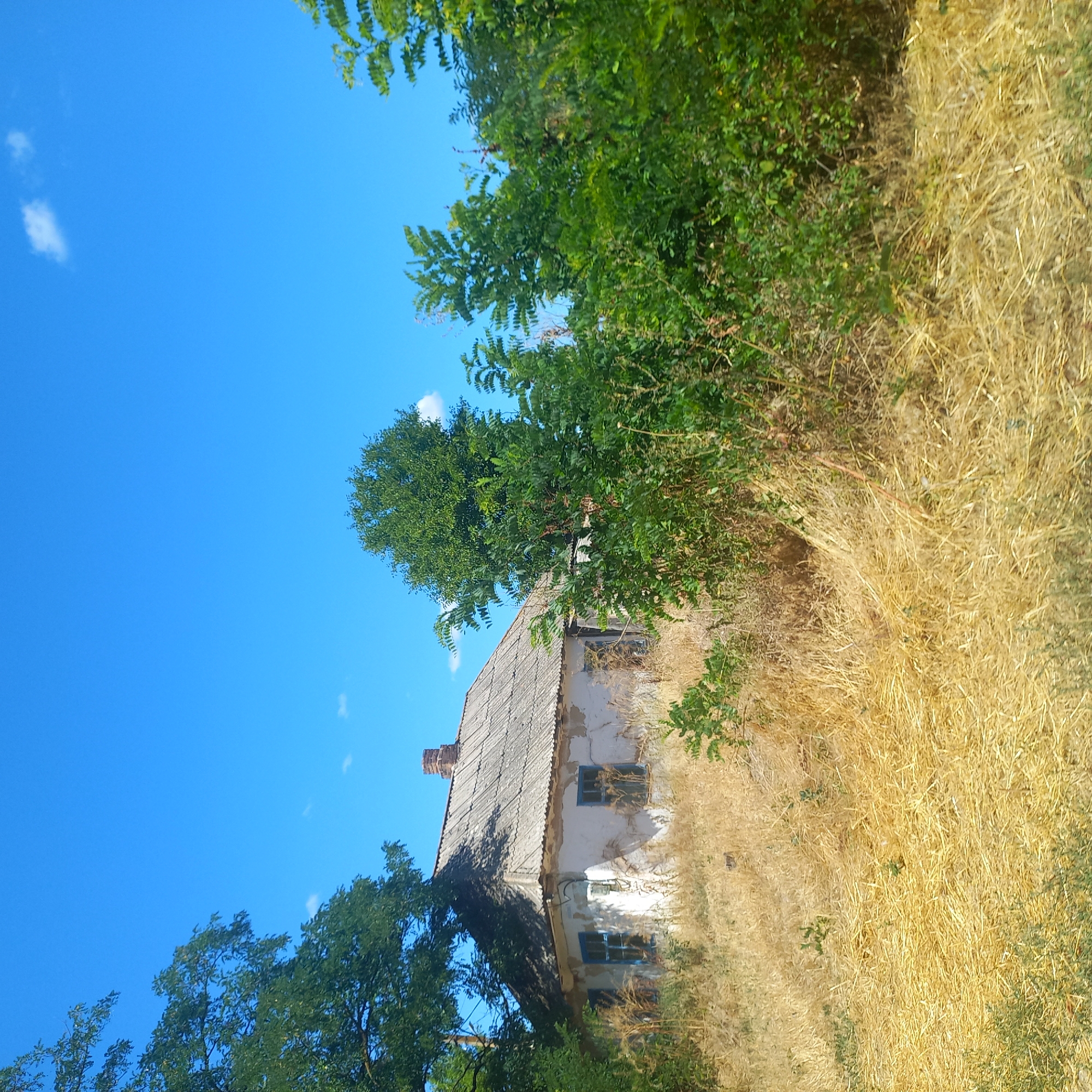 In the city of Klyntsi, Ukraine, an old, abandoned house stands in a state of disrepair under a clear blue sky. The house has a grey, weathered roof, a crumbling white facade, and blue-framed windows. A brick chimney rises from the roof. Tall, dry grass surrounds the structure, and lush green trees and bushes grow nearby, partially obscuring the house. The overall scene suggests a rural or neglected area.