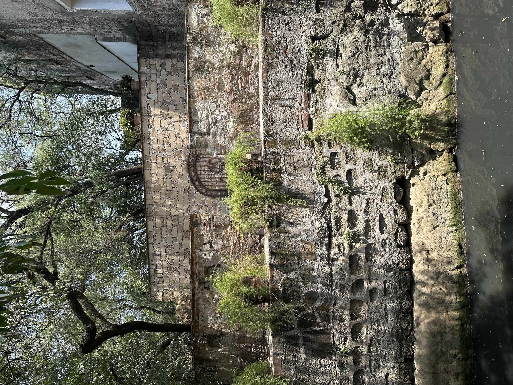 The image shows a section of the San Juan Canal in Tlalnepantla, Mexico. The view is perpendicular to the canal, focusing on the stone and brick walls that form its bank. The walls are weathered and show signs of age and water damage, with varying textures and coloration. Vegetation, including ferns and other small plants, grows from the wall crevices. A wrought iron gate is visible. A mature tree with dense foliage partially obscures the view of the walls and the buildings in the background. The water in the canal is dark and reflective. The scene is cast in natural light with a mix of direct sunlight and shadows. There are no people visible in the image.