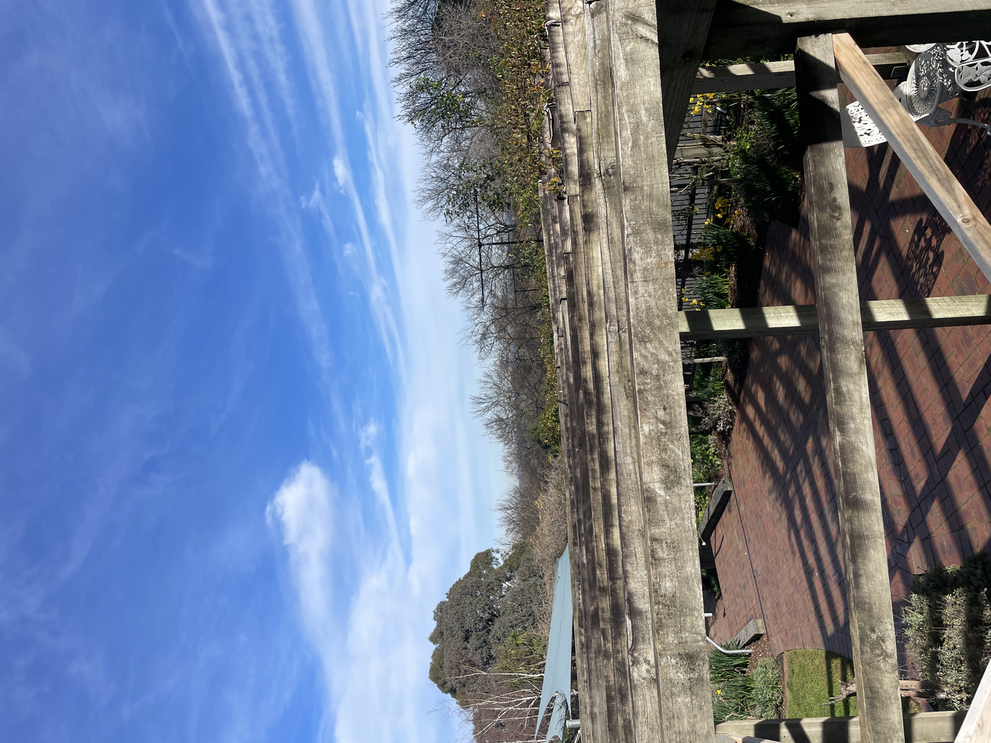 The image depicts an outdoor scene, likely a backyard or garden area, viewed from beneath a wooden pergola. The pergola's weathered wooden beams cast shadows on a red brick paved area below. To the left of the brick patio is a patch of green grass with some shrubbery. The background reveals a line of trees, some deciduous and bare, others with foliage, against a bright blue sky with wispy white clouds. A light blue tarp is visible draped over some of the pergola structure or an adjacent structure. In the foreground, a white metal table and chairs are partially visible. The scene suggests a temperate climate, consistent with Melbourne, Australia, during a cooler season, possibly late autumn or early spring, given the presence of bare trees and the appearance of daffodils in the garden beds. No people are present in the image.