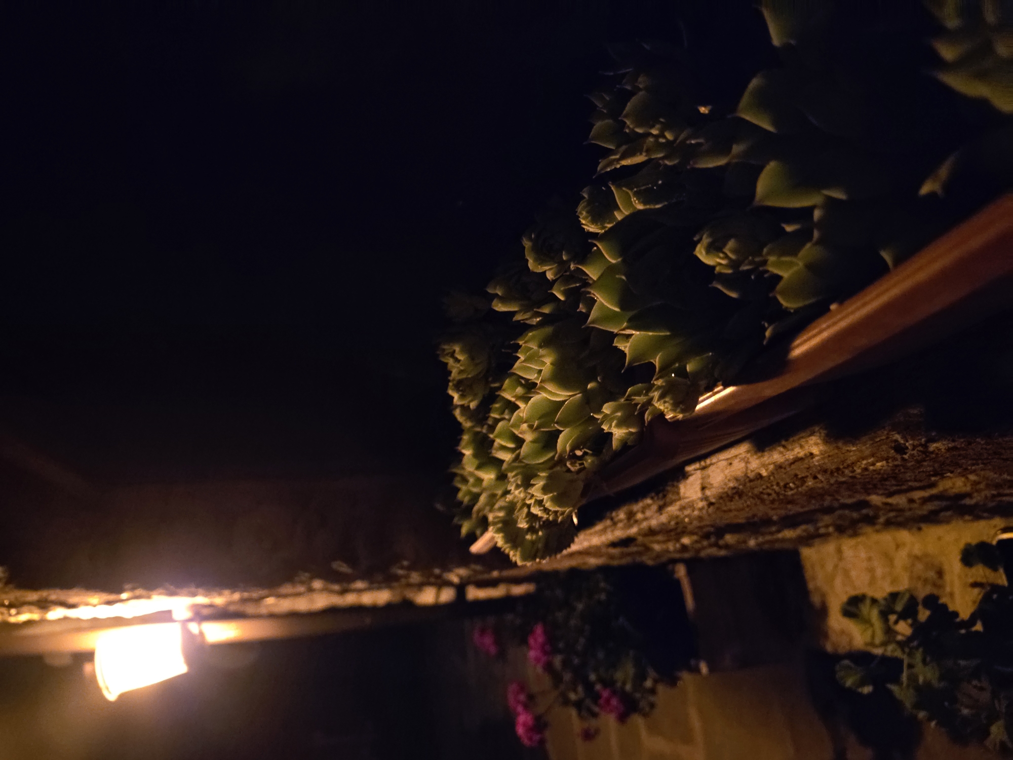 An outdoor, eye-level shot captures succulents planted in a planter on a rustic stone ledge at night. A warm-toned lantern, mounted on a wooden post, casts a glow on the left side of the image, illuminating the stone wall and some pink flowers in the background. The succulents, predominantly green, are arranged in the foreground, their layered leaves catching the light. The overall scene is dark, with the deep shadows of night dominating the right side of the frame.