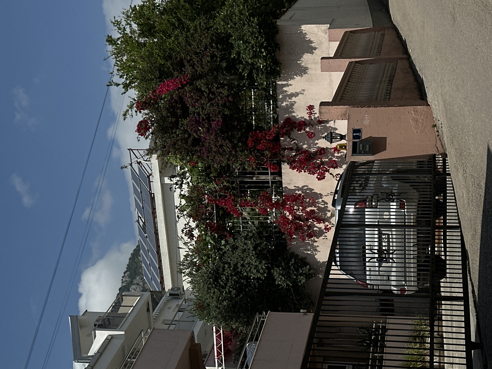 A slightly skewed outdoor daytime shot depicts a residential building with a car parked behind a gated entrance. The building is adorned with green foliage and clusters of red flowers climbing along the wall and the fence. The house has solar panels on its roof. The license plate of the car is not visible. A wall with design elements is on the right of the frame. The location is Šušanj, Montenegro, based on image location metadata.