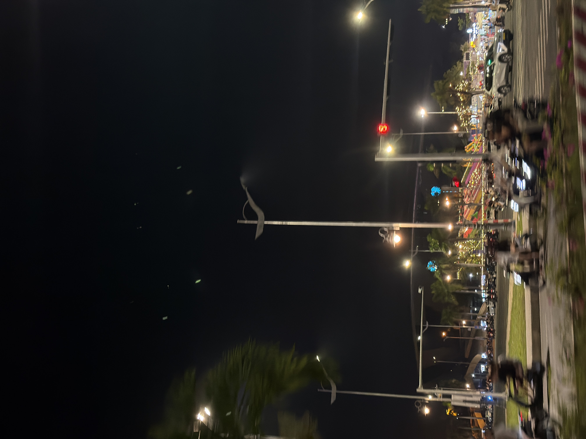 The image shows a nighttime street scene in Đà Nẵng, Vietnam. The foreground is blurred, suggesting movement, and includes glimpses of vegetation and streetlights. In the middle ground, a road is visible with several vehicles, including motorcycles and cars. People are riding on the motorcycles. Lampposts line the street, and in the background, there are palm trees, illuminated buildings, and what appears to be a Ferris wheel or carnival ride with colorful lights. A traffic light is visible, showing a red signal. The sky is dark and clear, with some faint green lights scattered across it, possibly due to light pollution or atmospheric conditions. The overall impression is of a lively urban environment at night.