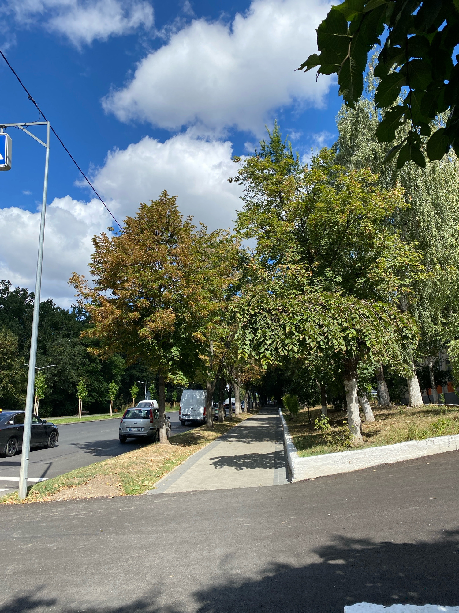 The image shows a street scene in Chișinău, Moldova on a sunny day. A sidewalk runs along a tree-lined street. Cars and vans are parked on the side of the road. A pedestrian crossing sign is visible on the left. The sky is blue with white clouds. The trees show signs of autumn with some leaves changing color.
