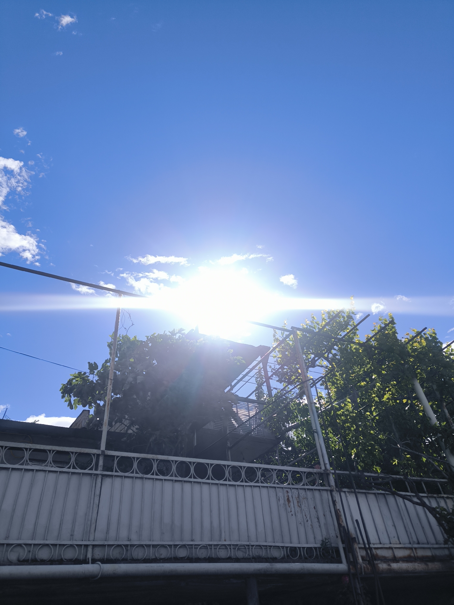 The image shows an upward view against a bright blue sky with a few scattered clouds. The sun is positioned behind a metal structure with greenery, causing a lens flare. In the foreground is a light-colored metal fence with a circular design above a solid panel. Behind the fence, there is a metal framework supporting vines and other vegetation. The sun is partially obscured by this foliage and structure, creating a halo effect. A building is partially visible in the background. The image was likely taken in Tbilisi, Georgia, based on the architectural style and common urban features.