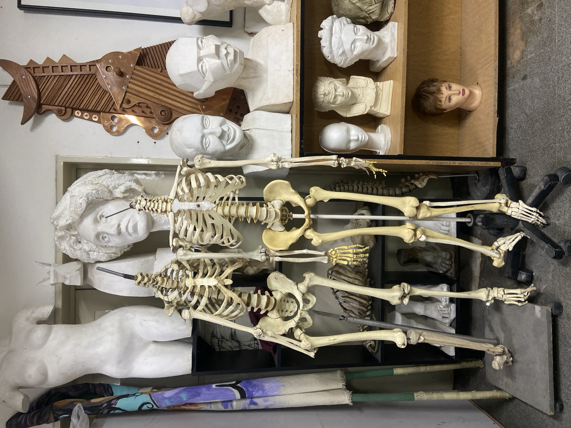 This photograph, taken in Buenos Aires, Argentina, captures a cluttered yet organized interior space, likely an art studio or classroom, filled with anatomical models and art sculptures. The image is oriented sideways, with subjects appearing to be standing upright on the left and right, and shelves running horizontally across the center.
On the left side, a detailed, wooden and metallic abstract sculpture resembling a fish or mechanical object hangs on a light-colored wall. Below it, a white plaster bust of a male torso is visible, along with rolled-up canvases or fabric art. Further to the right, a shelf holds several white plaster busts, including a geometric stylized head, a smooth bust with a subtle smile, and a classical head with elaborate hair and headwear. Another shelf features various plaster heads, including a bust resembling an Egyptian pharaoh, a more abstract white head, and a mannequin head with short brown hair and red lipstick.
Dominating the central and right portions of the image are multiple articulated human skeletal models, arranged vertically on stands or laid horizontally across shelves. These models display full skeletons, as well as distinct parts like rib cages, pelvic bones, hands, and feet. Some skeletal sections are held together by metal rods. The floor visible at the bottom right is a gray, textured surface, possibly concrete or stone, with part of a black office chair base. A partially visible word, "Chetz" or "Chete," appears on the wooden sculpture. The scene suggests a place for artistic or anatomical study and practice.