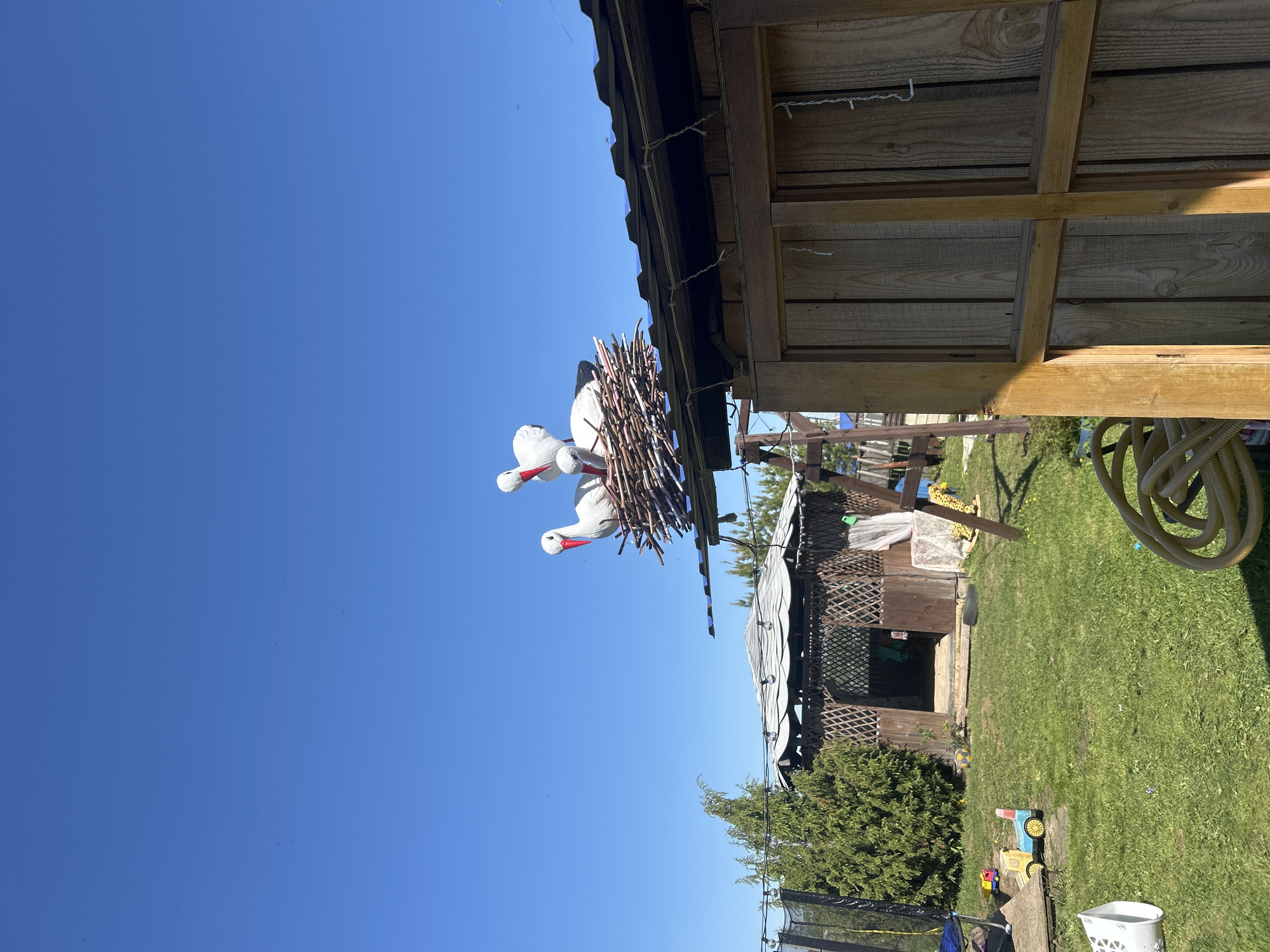 The image shows an outdoor scene in Ольховка, Russia. A stork nest with two white stork figures is attached to the side of a wooden structure, possibly a shed or outbuilding, under the eaves. The sky is clear blue. In the background, there's a lawn with green grass, another wooden structure with latticework, a bush, a yellow garden hose, and some children's toys including a blue and yellow tractor. A trampoline is partially visible.