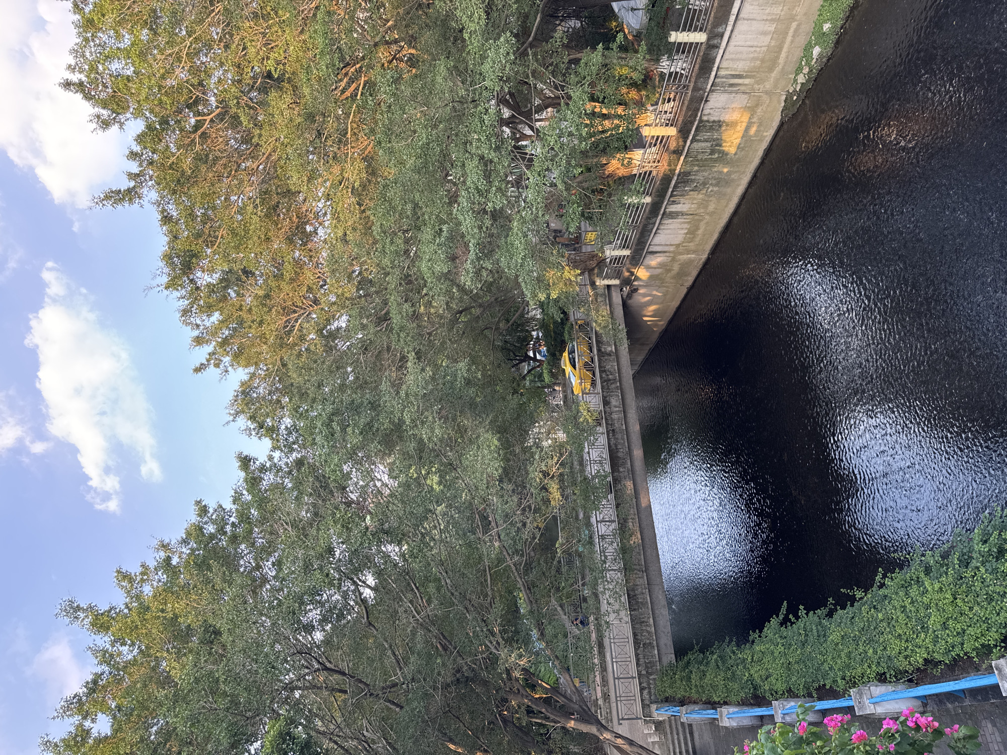 The image shows a canal running through a park in Tianhe District, China. A concrete walkway with metal railings runs along the canal. Trees line the walkway, their branches extending over the canal and obscuring the sky. The water in the canal is dark and reflects light. On the opposite side of the canal, there is green foliage and pink flowers. A section of blue painted posts can be seen along the edge. A yellow vehicle is visible along the walkway under the trees.