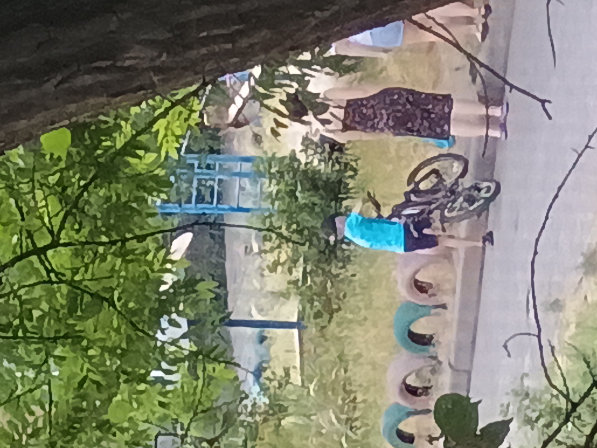 This image depicts an outdoor scene with several individuals and objects. In the foreground, partially obscured by tree branches and leaves, a person in a bright blue t-shirt is interacting with a bicycle. The bicycle appears to be a road bike with its frame and wheels clearly visible. Behind this individual, other people are standing or walking, some of whom are in the process of ascending or descending a blue structure that resembles a playground or park amenity. One person is wearing a dark patterned skirt. The background consists of a grassy area with some scattered trees and a paved pathway. Several colorful, curved objects that look like painted tires are arranged in a line along the pathway. The lighting suggests it is daytime, possibly late afternoon, with soft shadows indicating overcast or diffused sunlight. The overall atmosphere appears relaxed and casual, possibly a park or recreational area. There is no visible text in the image. The location context provided is Zaporizhzhia, Ukraine.
