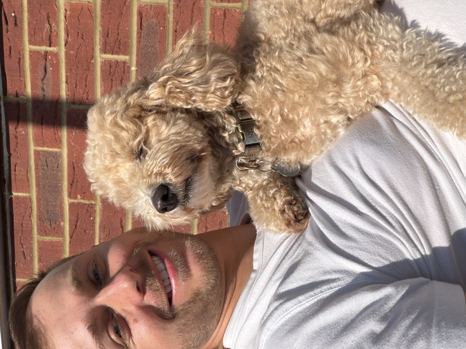 An outdoor, close-up photograph features an adult Caucasian male holding a small, light brown, curly-haired dog in the city of London, United Kingdom. The man, positioned on the left, has short light-brown hair and stubble, wears a plain white short-sleeved t-shirt, and is smiling directly at the viewer. The dog, resting against the man's chest and arm, faces slightly left with its eyes partially closed or squinted, characteristic of exposure to bright sunlight. It wears a brown fabric collar with a silver buckle engraved "S&S" and two attached circular silver-colored identification tags. The background consists of a red brick wall with light-colored mortar lines, illuminated by direct sunlight, with a faint vertical shadow visible in the upper right.
