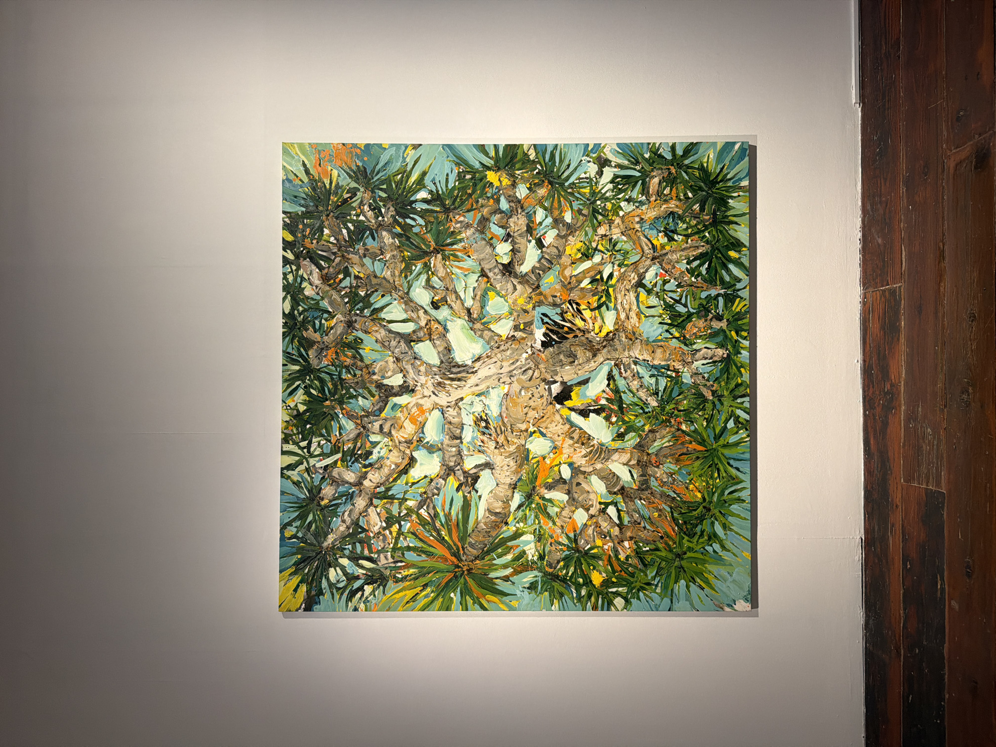 A square, textured oil painting of a tree viewed from below is displayed on a white wall, illuminated by a spotlight. The artwork depicts a dense canopy of leaves and thick, twisting branches against a bright turquoise sky. The leaves are rendered in various shades of green, with accents of yellow, orange, and red, suggesting sunlight filtering through. The tree's trunk and branches are painted with thick impasto strokes, creating a tactile surface with a palette of browns, grays, and whites. The composition is dynamic, with the branches creating an intricate, almost abstract pattern.
To the right of the painting, a section of a rustic, dark wooden door is visible, with vertical planks showing a weathered texture and varied wood grain. The wall on the left of the painting is a neutral white, subtly lit to highlight the artwork. The overall impression is of a vibrant, close-up view of nature, likely captured in a warm climate given the style of foliage. The lighting suggests an indoor setting, possibly an art gallery or a well-lit exhibition space. No people are visible in the frame, and there is no visible text. The time of day and weather are implied by the bright, clear sky depicted in the painting. The location context of La Cuesta, Spain, would support the subject matter of a tree with such foliage.
