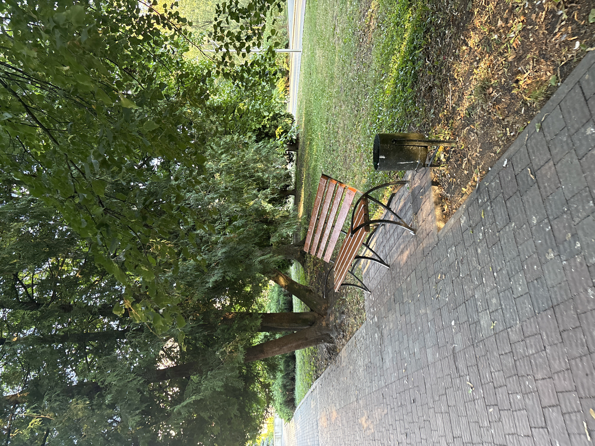 The image depicts a park scene in Ternopil, Ukraine, on a sunny day. A paved walkway made of dark grey rectangular tiles runs diagonally across the foreground from left to right. On the right side of the walkway, a wooden park bench with dark metal legs is situated. Adjacent to the bench, a black metal trash bin stands on the ground. The bench and bin are positioned next to a grassy area with scattered dry leaves and some low-lying green foliage. Behind the grassy area, several large trees with dense green foliage provide shade, with sunlight filtering through the leaves. One prominent tree in the middle ground has multiple trunks originating from a single base. Further in the background, a road or pathway is visible, lined with more greenery and a light pole. The overall impression is one of a well-maintained public park.