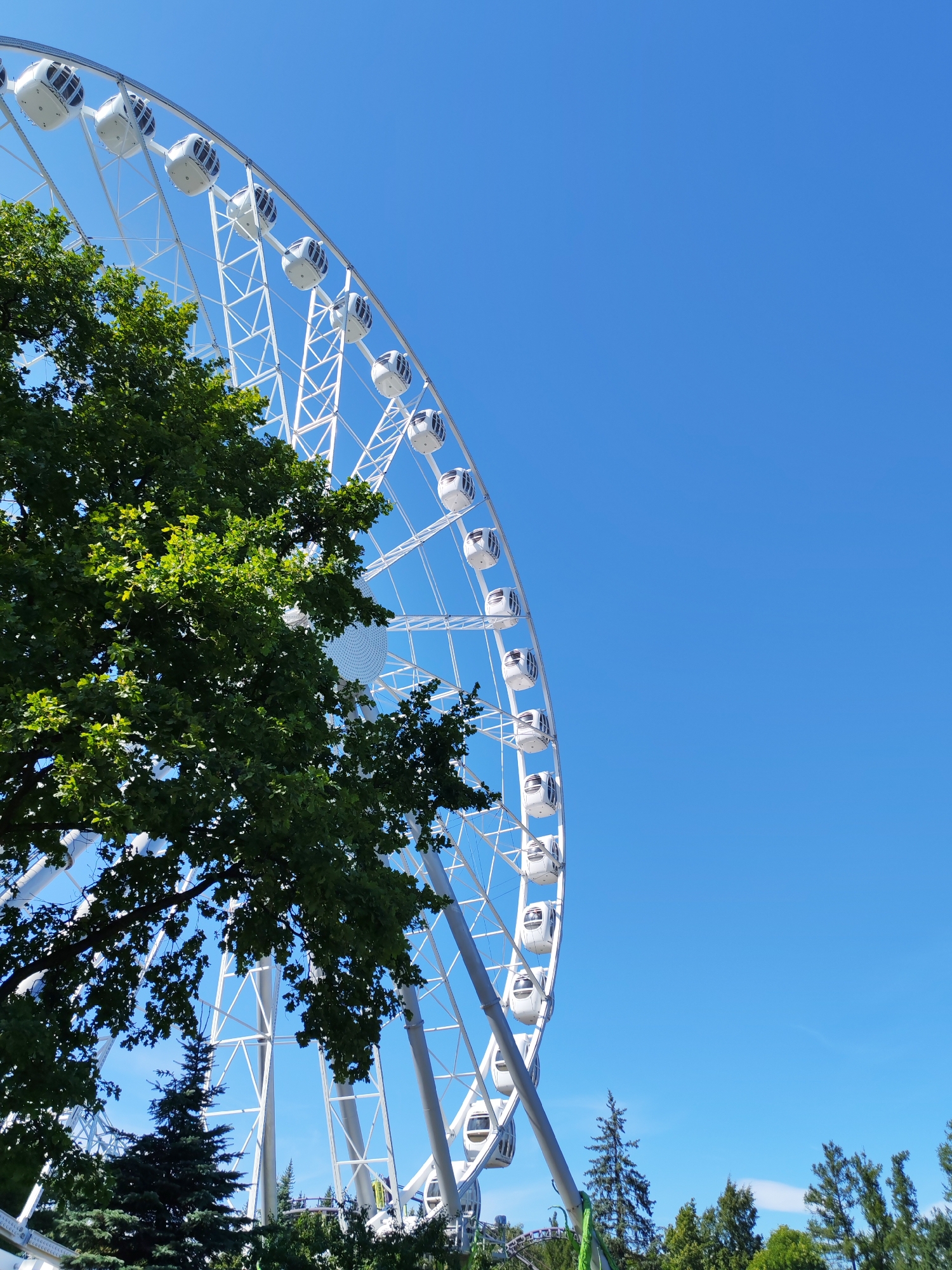 A large white Ferris wheel dominates the left side of the frame, its spokes forming a geometric pattern against a clear blue sky. Several enclosed white gondolas are attached to the wheel's circumference. Lush green trees, with dense foliage, partially obscure the lower portion of the Ferris wheel and extend into the foreground. In the background, a line of green trees creates a natural horizon. The scene is captured outdoors on a bright, sunny day.