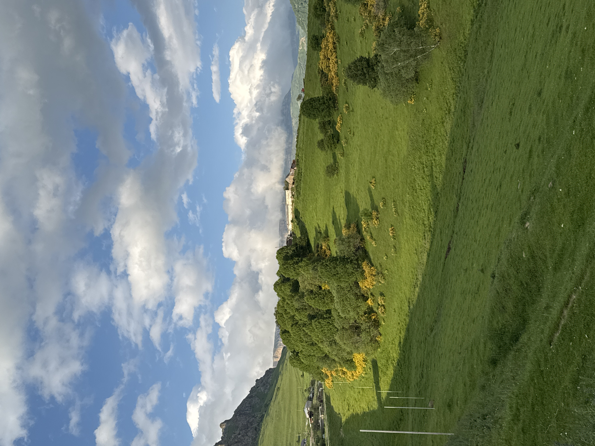 The image depicts a rural landscape in Nizhnyaya Mara, Russia, under a bright blue sky dotted with fluffy white clouds. The foreground features a lush, rolling green meadow with a pronounced shadow cast by unseen trees. A series of white poles, likely part of a fence or utility line, are spaced evenly across the meadow, leading the eye towards the midground.
In the midground, a dense cluster of green trees dominates the scene, interspersed with patches of vibrant yellow flowering bushes. Further back, the land continues to undulate, with more scattered trees and yellow flora. A few buildings, appearing to be farmhouses or small dwellings, are visible nestled on the higher ground amongst the trees. In the distance, a rugged, rocky mountain range forms the backdrop, with some of the peaks softened by a light haze. The overall impression is one of a serene and picturesque natural environment.