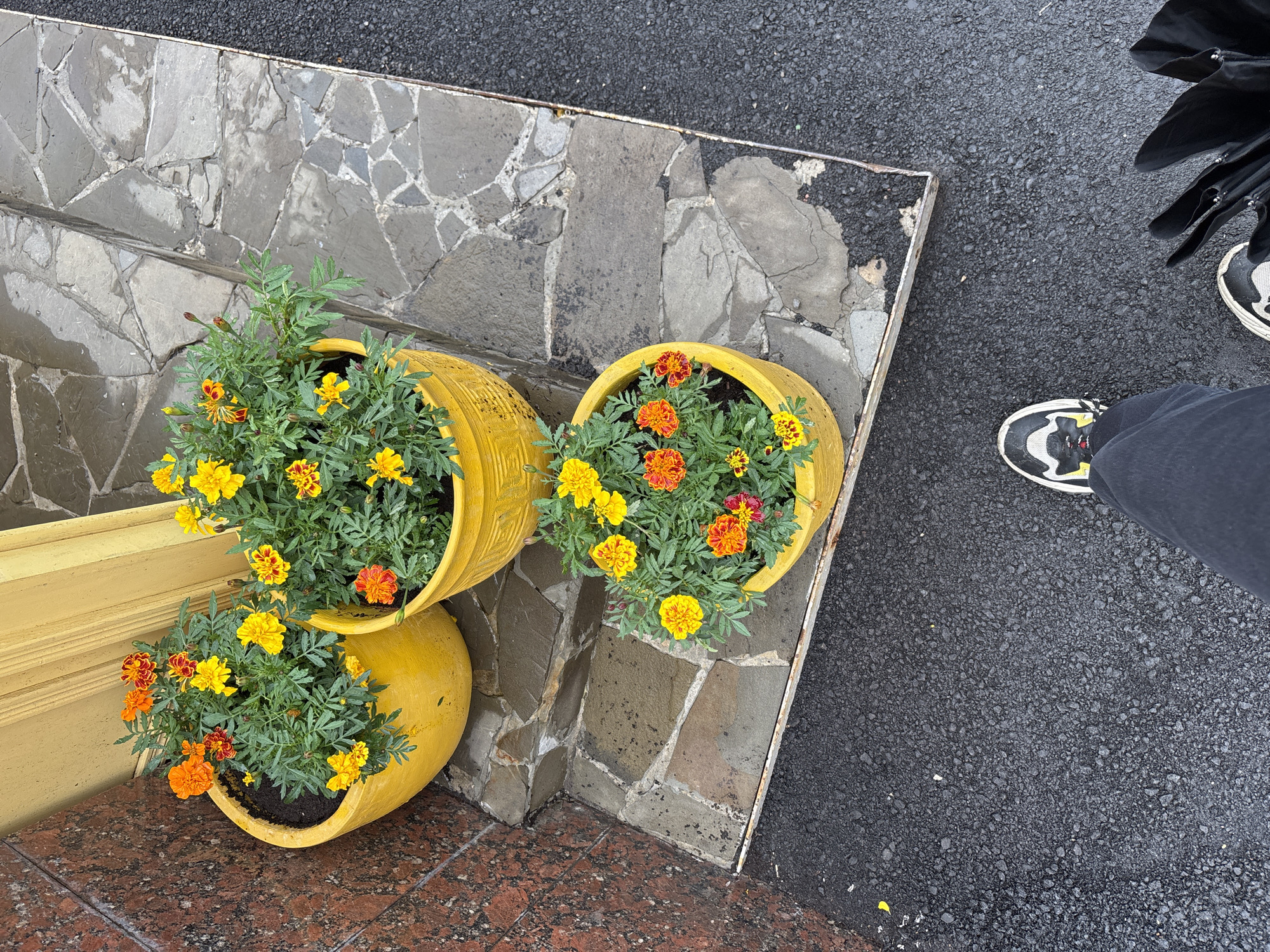 A person stands on asphalt in front of a set of stone steps. Three yellow planters with marigolds are arranged on the steps. The planters are in varying sizes and filled with vibrant orange and yellow flowers. The background shows a section of a yellow wall and a granite-patterned wall. The scene appears to be outdoors, possibly in the city of Nizhny Novgorod, Russia, given the architectural style and common urban streetscape elements.