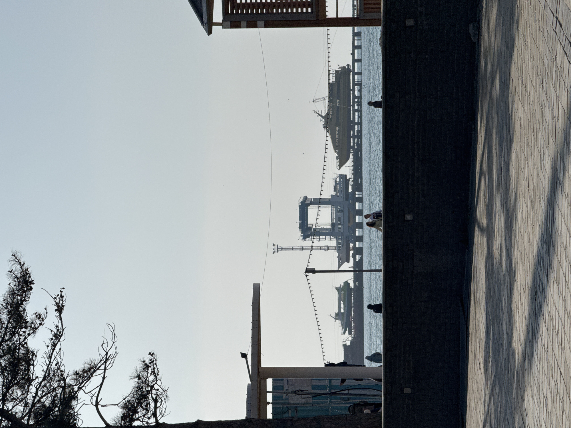 The image displays a daytime waterfront scene in Anapa, Russia, under strong backlighting, resulting in prominent silhouettes. The foreground features a light-colored brick-paved area with elongated dark shadows. This paving transitions into a dark, textured wall approximately one meter in height. Beyond this wall is a body of water, likely the Black Sea, with minimal surface disturbance.
Five silhouetted human figures are visible near the water's edge: two are seated or crouched on the left, and three are standing on the right. Of the standing figures, two appear to be walking or interacting, while one stands alone further right. A horizontal string of bare light bulbs spans the mid-ground, suspended between vertical posts.
The background is dominated by large maritime structures under a clear, bright sky. From left to right, these include a large dark vessel partially visible on a pier, a prominent grey gantry crane or boat lift structure, and a large light-yellow catamaran-style vessel elevated on a dry dock or pier.
On the far left, a dark, silhouetted pine tree with visible needles and cones frames the upper quadrant of the image, partially obscuring a white structural column and a building with light blue elements. On the far right, a slatted wooden structure, possibly part of a kiosk or building, frames the scene.