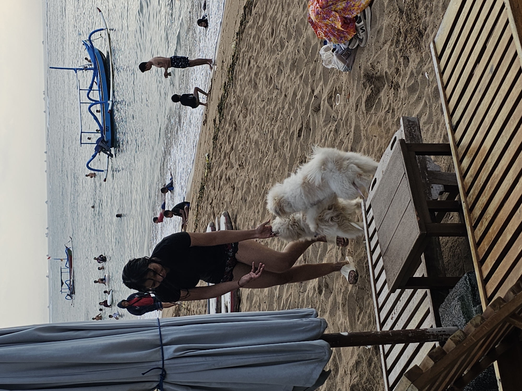 The image depicts a beach scene in Denpasar, Indonesia. In the foreground, a woman in a black t-shirt and bikini bottoms is interacting with two fluffy white dogs on the sand. To the left, a large gray beach umbrella is visible, along with wooden lounge chairs and a small wooden table. In the mid-ground and background, the ocean is calm, with several traditional Balinese fishing boats visible on the water. Various people are swimming and playing in the water. The sky is overcast, suggesting it may be early morning or late afternoon. The overall scene is one of a relaxed day at the beach.