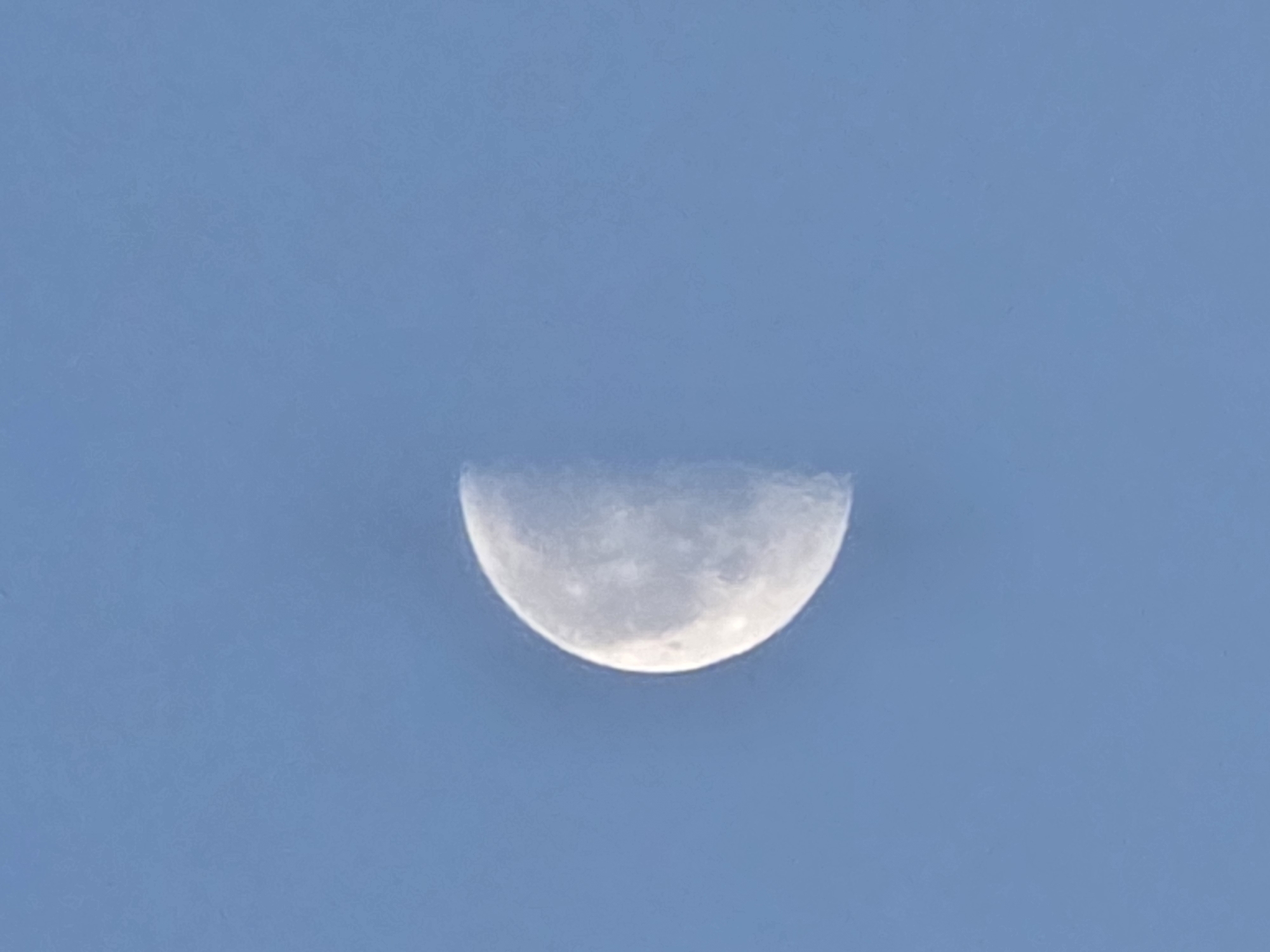 A half-moon is visible in a clear blue sky. The moon is illuminated on its right side and shows some surface detail. The sky is a uniform light blue color, indicating it is daytime. There are no other objects or features visible in the image. The image does not contain any information about the city of Chaikovsky, Russia.