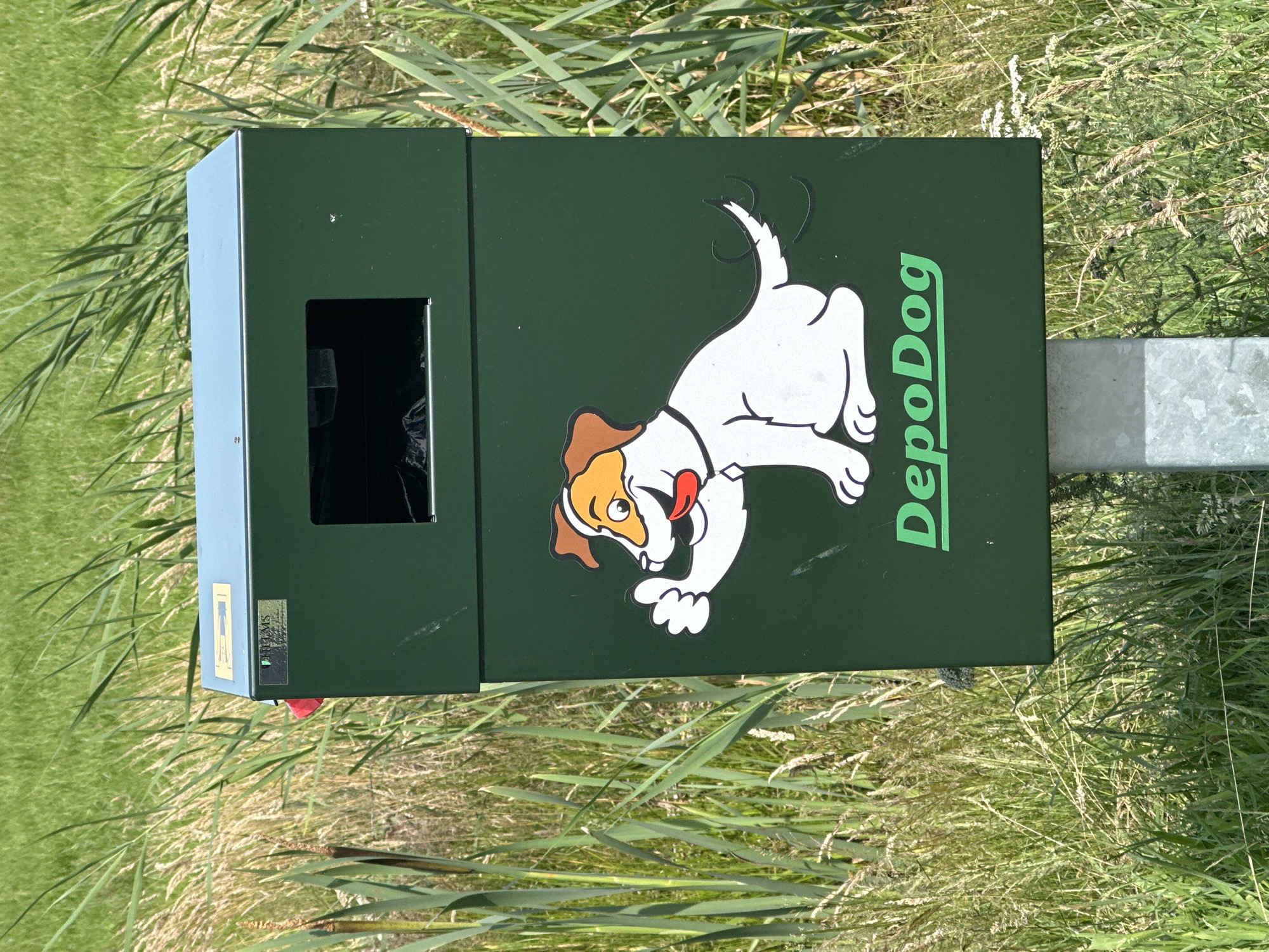 This is a vertical, eye-level medium shot of a green dog waste bin in Ossenzijl, Netherlands. The bin is decorated with a cartoon image of a white dog with brown ears and markings, with its tongue sticking out. The text "DepoDog" is printed vertically in green on the right side of the bin. The bin has a rectangular opening on the front, through which a black trash bag is visible. A metal post is partially visible on the right side of the bin. The bin is situated in a grassy, outdoor setting with tall reeds and grasses surrounding it, suggesting a park or a natural area. The lighting indicates it is daytime, likely sunny. The image is slightly tilted, as if captured while walking.