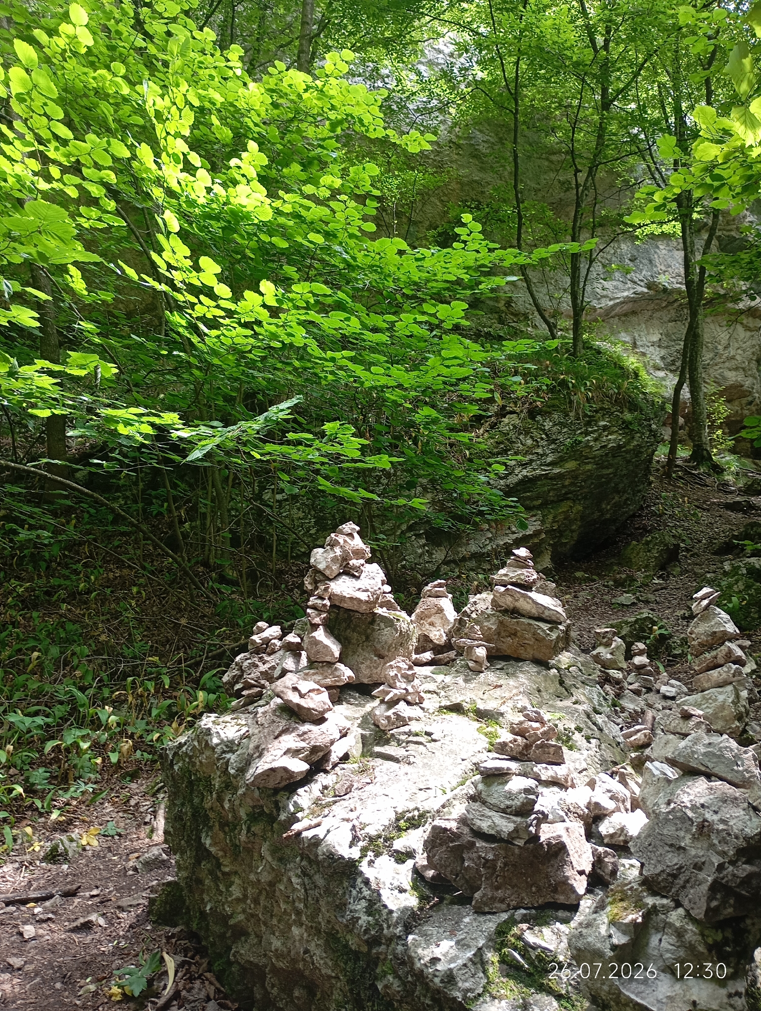 A forest scene features a path winding through lush green foliage and a rocky cliff face. In the foreground, several cairns, small stacks of stones, are arranged on large rocks. The cairns vary in size and complexity, with some reaching several feet in height. Sunlight filters through the dense canopy of leaves, creating dappled patterns on the ground and illuminating the rocks. The overall impression is one of a serene and natural environment, possibly a hiking trail in a wooded area.