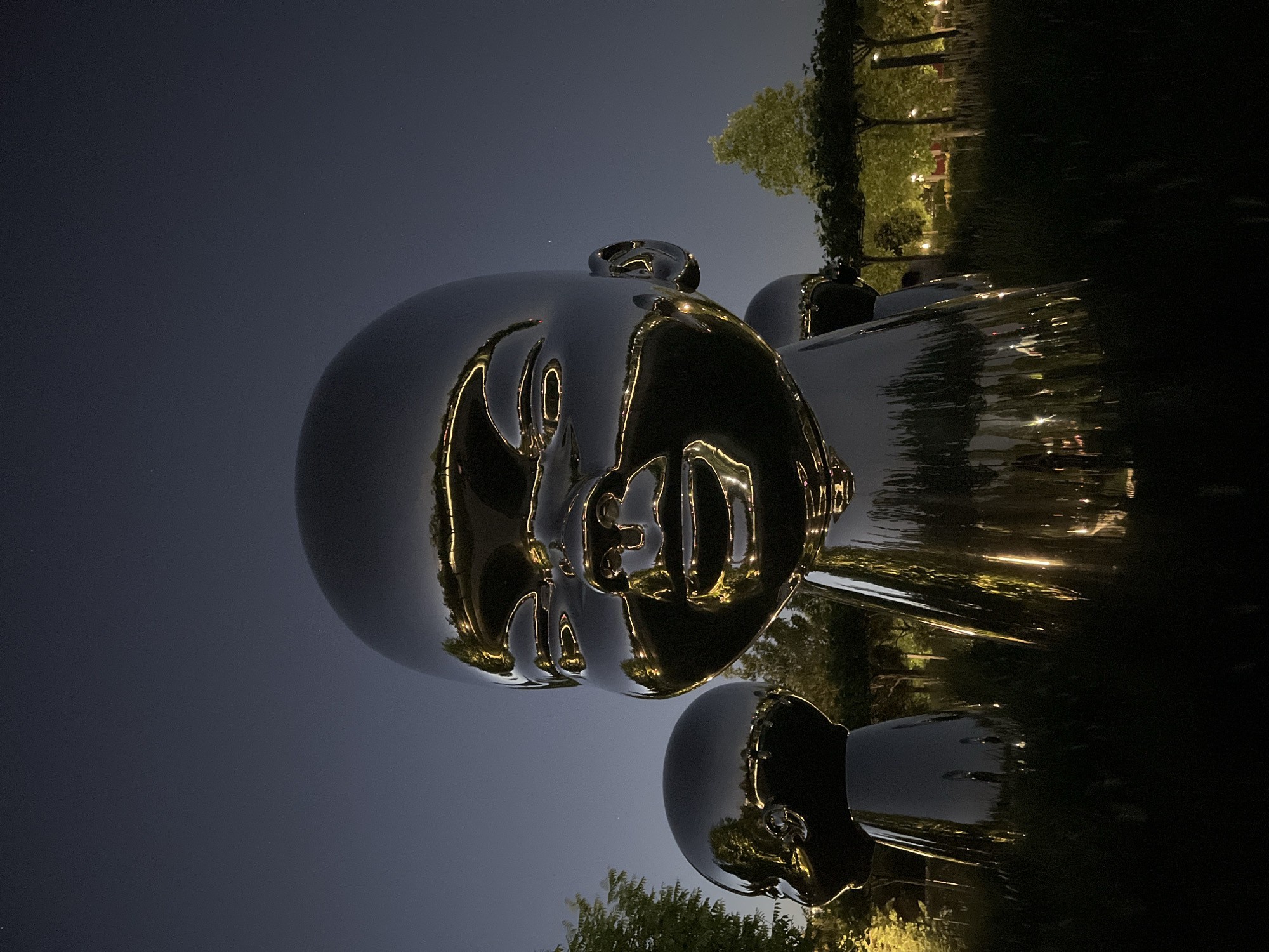 This media file features a large, highly polished, metallic sculpture of a stylized human head and part of a shoulder, set outdoors at night in Krasnodar, Russia. The sculpture's surface is extremely reflective, mirroring the surrounding environment with striking clarity.
The primary subject is the gleaming, silver-toned sculpture, which appears to be massive in scale. Its smooth, rounded forms reflect bright, warm-toned artificial lights, possibly from string lights or street lamps, which outline its facial features such as the eyes, nose, and mouth. These reflections create a luminous, almost golden effect against the dark, metallic surface.
In the background, the sky is dark blue, indicative of night or late dusk, with a few faint stars visible, suggesting clear weather. Lush trees with green foliage are visible, some of which are illuminated, contributing to the reflections on the sculpture. Further back, more artificial lights are discernible, implying the setting is a well-lit park or public space. The overall scene conveys a calm and contemplative atmosphere, highlighting the interplay of light and reflection on the artwork.
There is no discernible activity taking place, as the image captures a static art installation. No visible text is present in the image.
