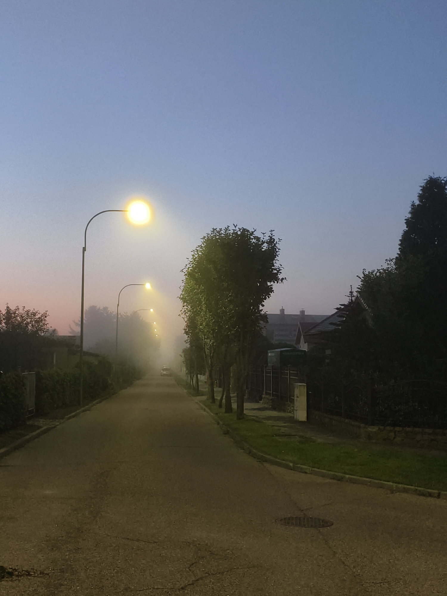 An eye-level, full shot captures a foggy, dawn street scene in Tczew, Poland. The road, lined with trees and streetlights, stretches into the distance, disappearing into the mist. The sky transitions from a pale pink near the horizon to a clear blue overhead. A single car is visible in the distance, its headlights illuminating the fog. The street is paved and shows signs of wear, with cracks and a manhole cover visible. The surrounding environment includes hedges, fences, and houses, suggesting a residential area.