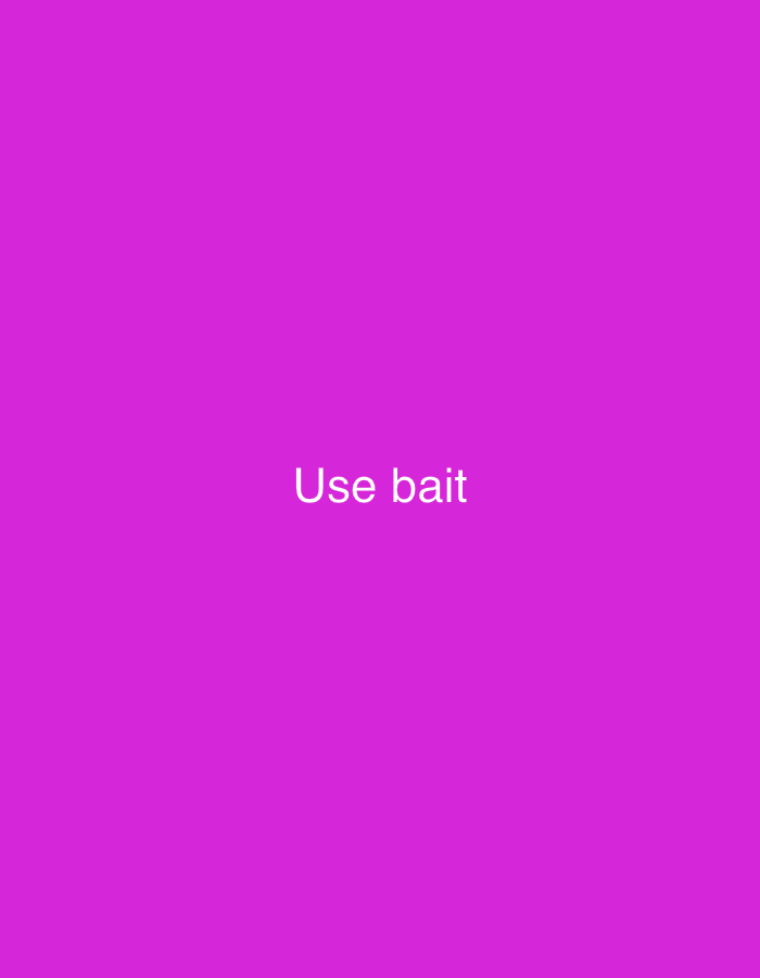 The image is a solid magenta background with the white text "Use bait" centered horizontally and located in the lower half of the frame. There are no discernable features related to the city of Kabong, Nigeria, nor any people, subjects, objects, actions, interactions, or environmental details present in the image.