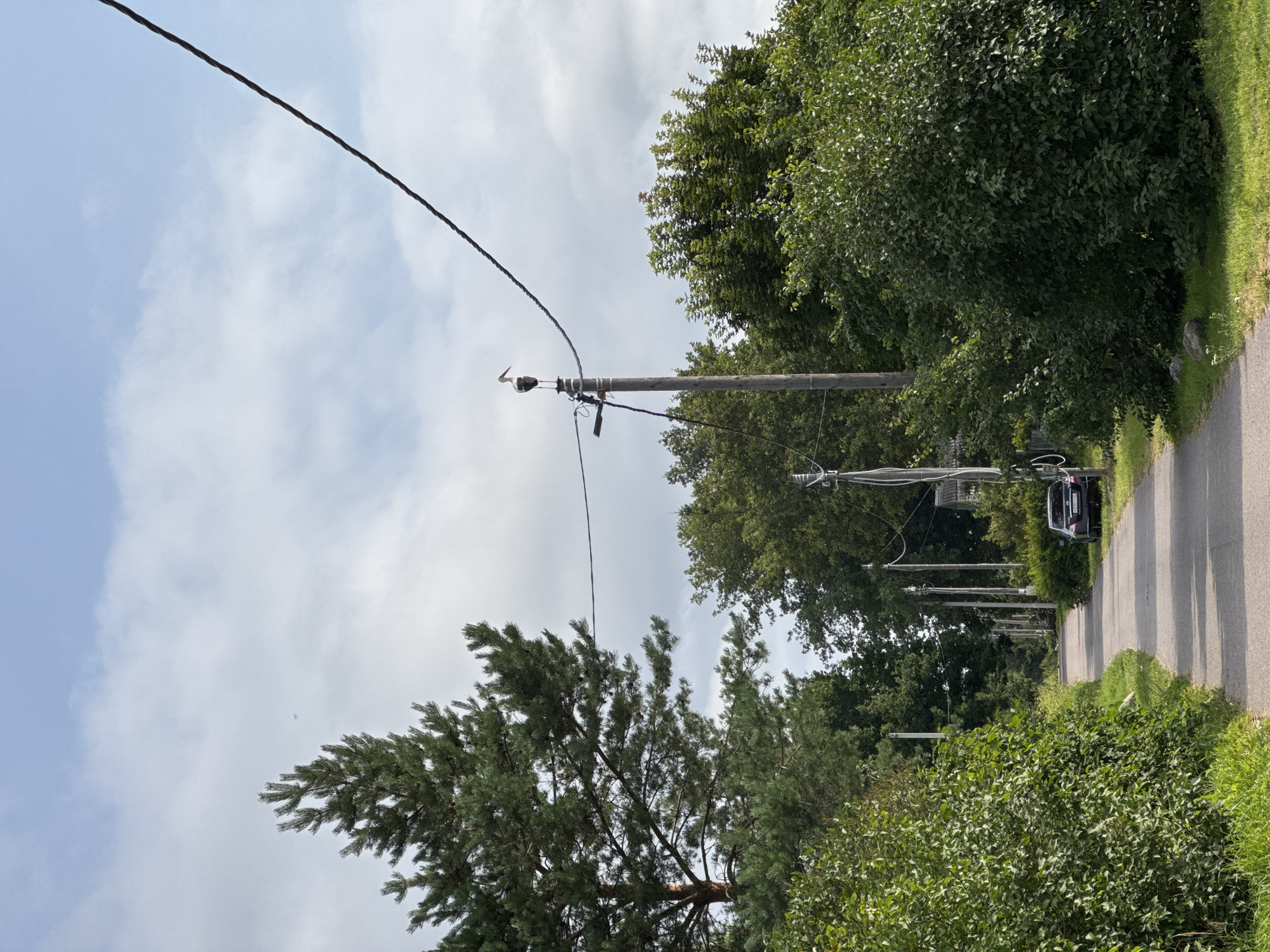 In Sitno, Russia, a paved road meanders through a verdant, tree-lined landscape under a partly cloudy sky. On the right side of the road, a black car is parked near dense green bushes. Along the road, telephone poles are erected, some with wires extending across the frame. Perched atop one of these poles, a solitary white stork stands on its long legs, its black wings folded. The overall scene depicts a tranquil rural setting with a touch of nature's presence.