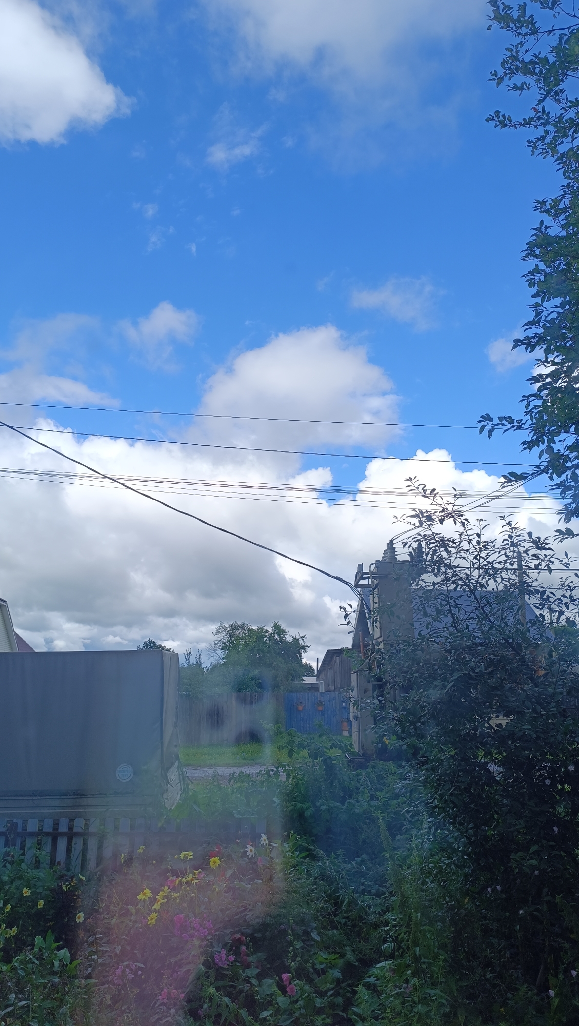The image captures a bright, partly cloudy sky above a rural or suburban setting. The sky is a vibrant blue with scattered white clouds, some of which are large and puffy. In the midground, several power lines stretch across the frame horizontally. Below the power lines, there are trees and buildings, including a wooden fence and what appears to be a shed or outbuilding with a blue gate. Further to the right, a dense cluster of dark green foliage from a tree or bush dominates the foreground, partially obscuring a building with a dark roof. In the lower left portion of the image, a garden bed with various flowers, including yellow and pink varieties, is visible. The overall impression is that of a clear day in a residential area, likely outside of a major urban center, and given the context, possibly within the city of Karsha, Russia.