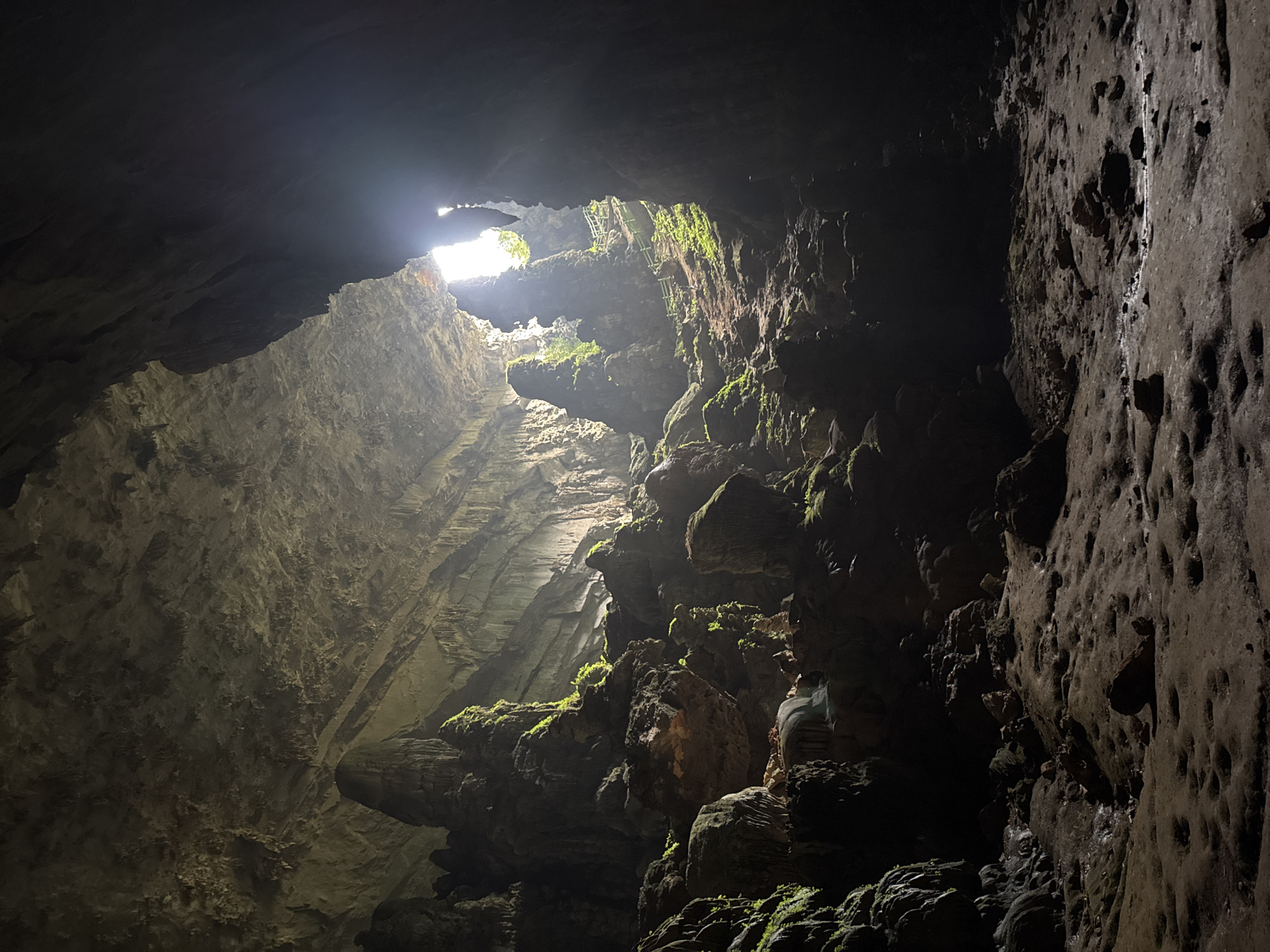 The image depicts the interior of a large cave, characterized by towering stalagmites and stalactites, illuminated by natural light filtering in from an opening above. The cave floor is uneven, covered with rocks and sediment, and appears damp in places. Lush green moss and vegetation cling to some of the rock formations, suggesting a humid environment. The cave's scale is immense, with the ceiling disappearing into darkness. In the distance, a pathway with a wooden railing is visible, winding up the cave wall, indicating it is a tourist accessible location. The scene is devoid of any people. Based on the visual cues and the provided location of Pù Luông Commune, Vietnam, this is likely an interior shot of a cave within that region, such as the Hang Son Doong cave or another cave system accessible to visitors.