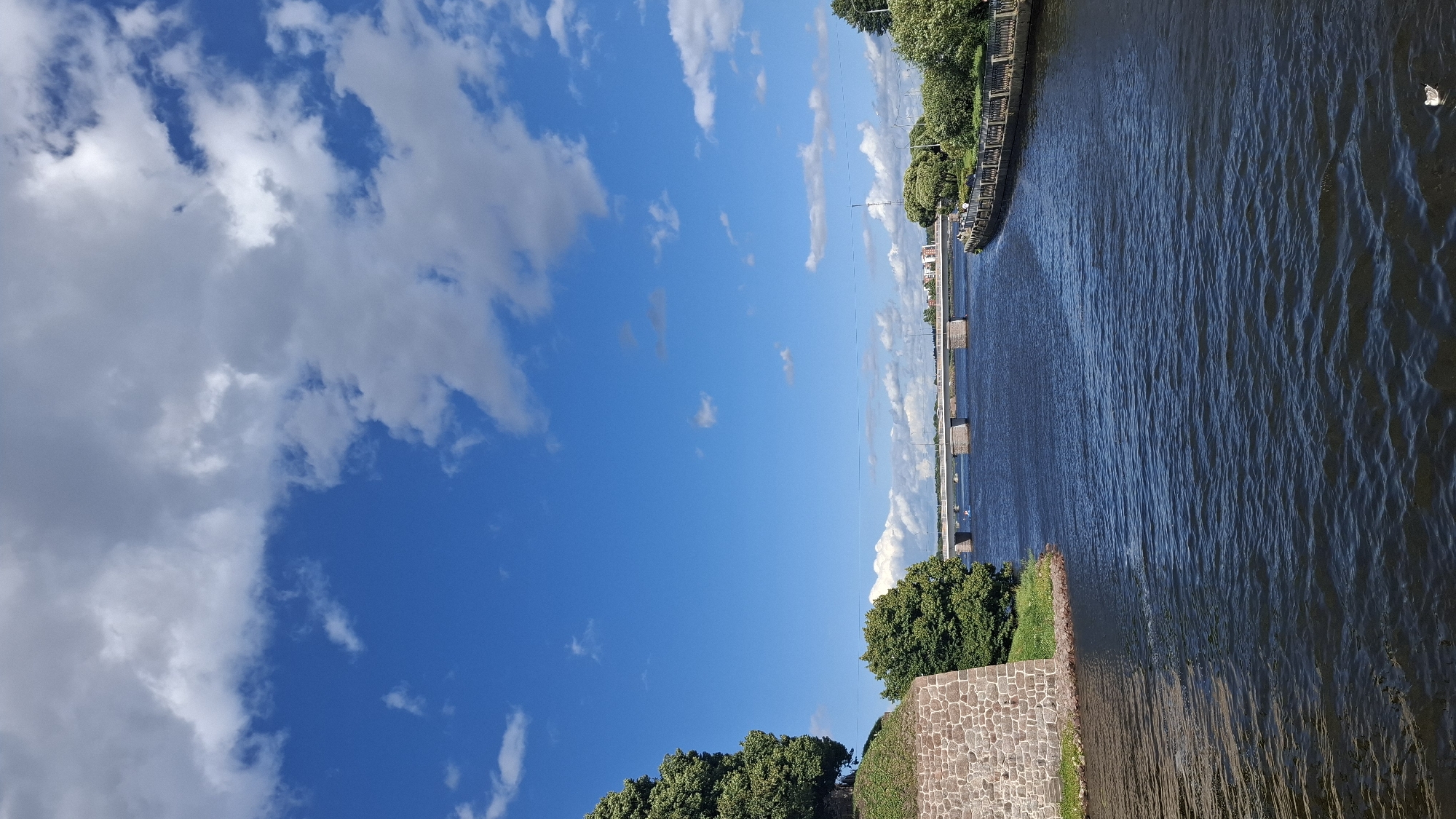This is a landscape image taken from a body of water, likely a canal or river, in Vyborg, Russia. The foreground is dominated by dark, rippling water. On the left, a stone embankment with a thick green tree on top is visible. Further ahead, a stone bridge spans the water, with several arches. On the right bank, a tree-lined promenade with a decorative fence can be seen. The sky is a vibrant blue, dotted with fluffy white clouds. The overall scene depicts a peaceful urban waterfront environment.