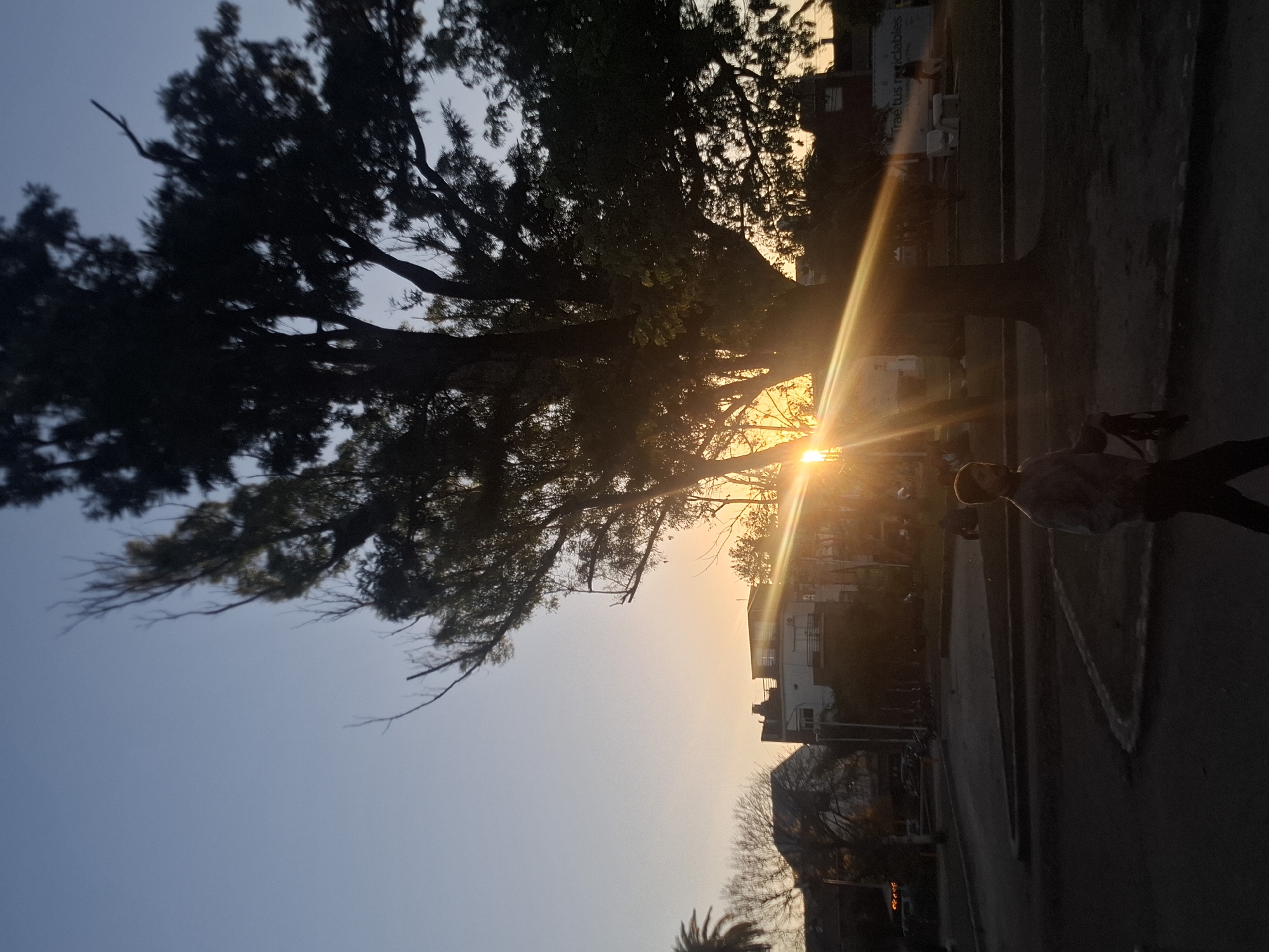 The image captures a sunset scene in Villa Domínico, Argentina. A large tree with dense foliage dominates the left side of the frame. The sun is positioned behind the tree, creating a silhouette effect and golden rays extending across the scene. Buildings are visible in the background, partially obscured by the tree and the sunlight. A person is on the right side. They are walking on a sidewalk or paved area. The sky transitions from blue to orange near the horizon, typical of a sunset. The lighting suggests it's either early morning or late afternoon.