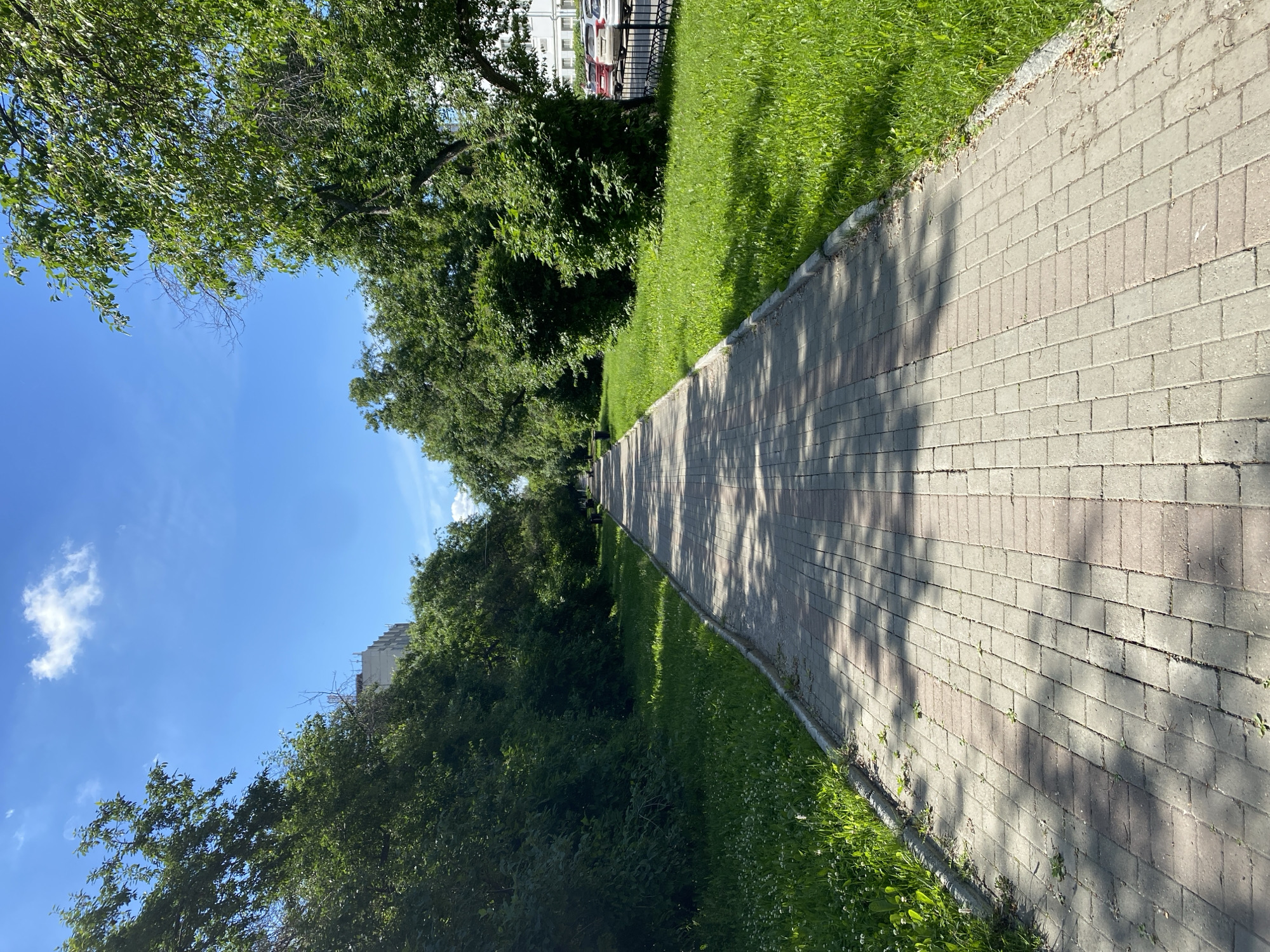 The image shows a paved pedestrian walkway in a city park. The walkway is made of interlocking rectangular pavers in shades of grey and pink, with a band of pink pavers running down the center. Lush green grass lines the walkway on both sides, interspersed with small white wildflowers. Mature trees with dense green foliage overhang the walkway, casting dappled shadows. In the background, a building with a light-colored facade is partially visible, along with parked cars and a black metal fence. The sky is a clear blue with a few white clouds. The overall scene suggests a sunny day in a well-maintained urban green space, likely in Yekaterinburg, Russia, given the context. No people are visible in the frame.