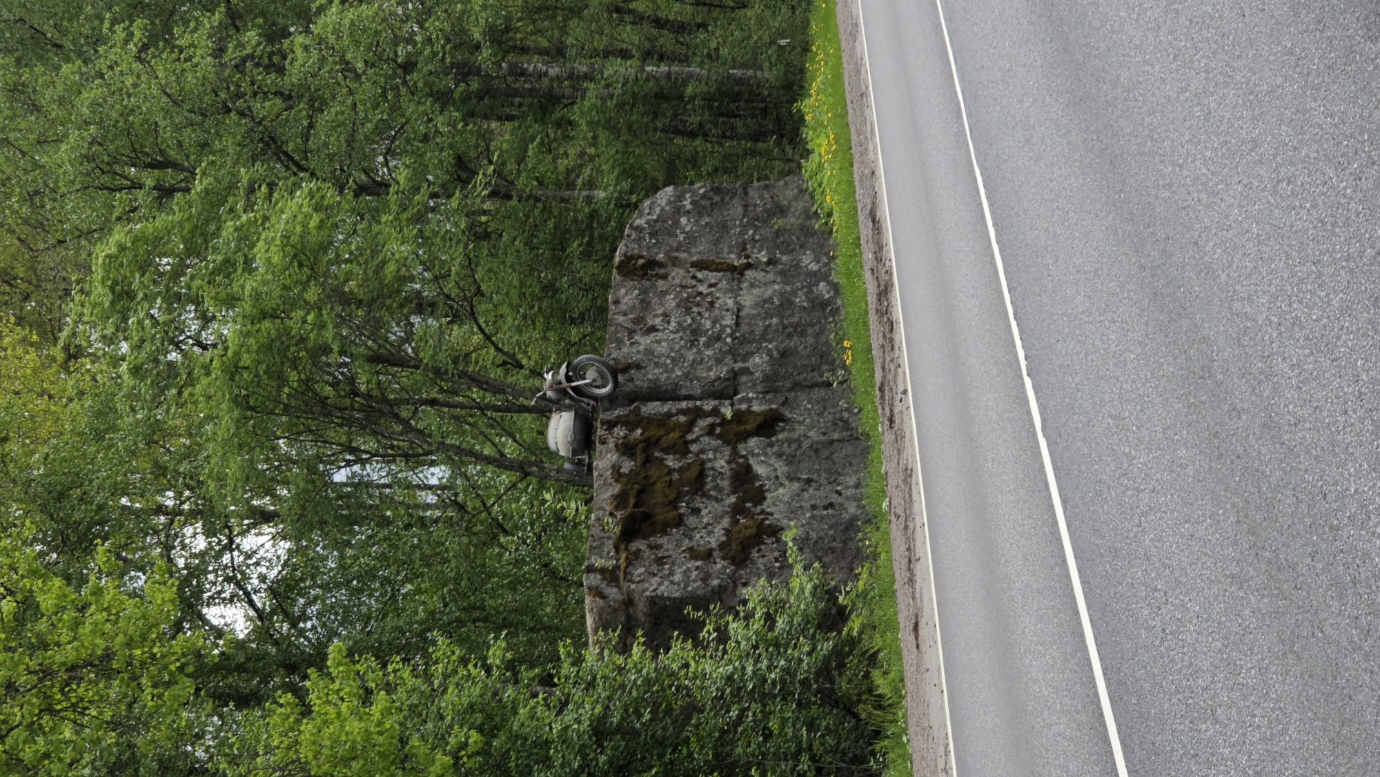 The image shows a motorcycle resting on a large, mossy rock formation adjacent to a paved road. The location appears to be a forested area, with lush green trees visible in the background. The road has a painted white line marking the edge. The motorcycle is partially obscured by the rock, but the wheel and a portion of the body are visible. Yellow wildflowers can be seen along the edge of the road near the rock formation.