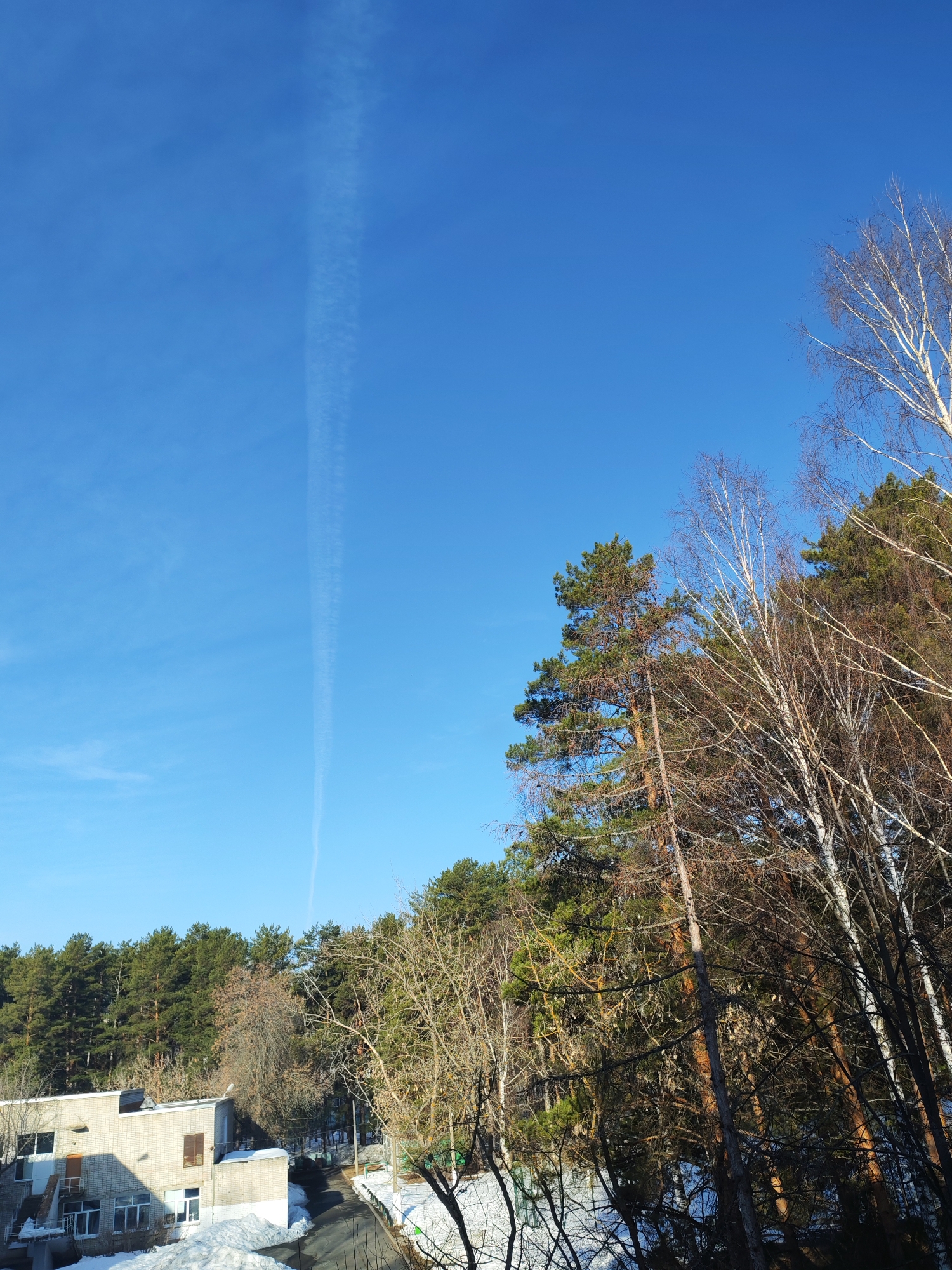 The image captures a winter scene in what appears to be a residential area of Chaikovsky, Russia.
**Environment:** A clear blue sky dominates the upper portion of the frame, with a visible contrail bisecting the upper sky. The foreground shows a snowy ground cover, indicative of winter conditions. Some snow patches are seen near a concrete building.
**Objects:**
* A blocky, multi-story concrete building is situated in the lower left, possibly a residential or institutional structure. The building has windows.
* A forest of coniferous and deciduous trees occupies the right side and the background. The trees are mostly bare, with some remaining green needles visible. The tree canopy is relatively dense.
* A paved road or walkway is visible, partially covered with snow.
**Location:**
The image features a residential building surrounded by trees, located in Chaikovsky, Russia. The presence of snow and bare trees indicate that it is winter. The architectural style and the presence of forests point to a specific geographic location.