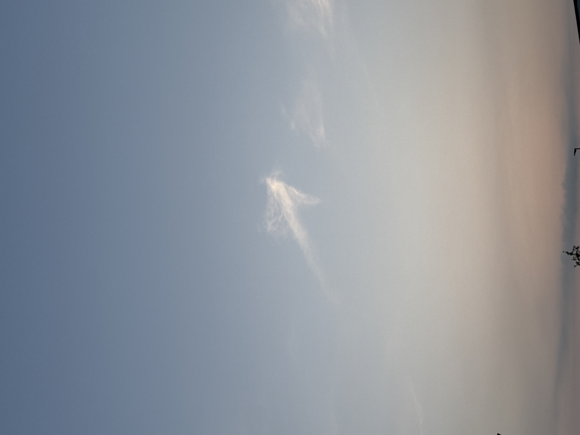 The image shows a pale blue sky with a gradient towards a soft pinkish hue near the horizon, indicative of either dawn or dusk. A wispy, elongated cloud formation, resembling an arrow or a bird in flight, is visible in the upper central portion of the sky. In the lower section of the image, a dark, silhouetted line suggests the presence of distant buildings or structures. There are also faint silhouettes of trees and a streetlight in the bottom corners. The overall scene is peaceful and serene, with no people or discernible actions. The location is identified as Mejaniga, Italy.
