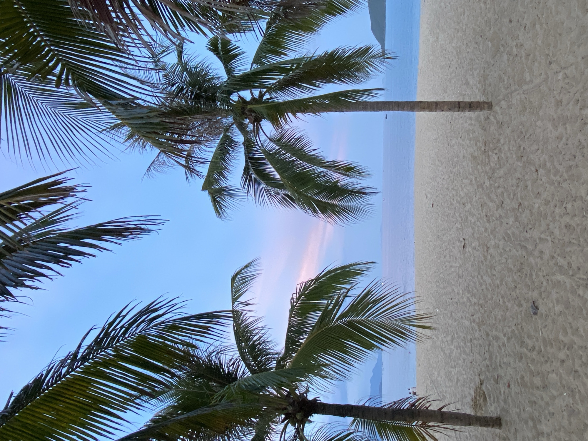The image captures a serene beach scene in Nha Trang, Vietnam. In the foreground, a sandy beach stretches out, with two prominent palm trees framing the view. Their fronds extend towards the top of the image, partially obscuring the pastel-colored sky. Beyond the beach, the calm, blue ocean meets the horizon. In the distance, faint outlines of islands and the distant mainland can be seen. The water is calm with a few small boats visible. On the left side of the beach, a couple of people are visible near the water's edge. The lighting suggests either early morning or late evening, contributing to the tranquil atmosphere.