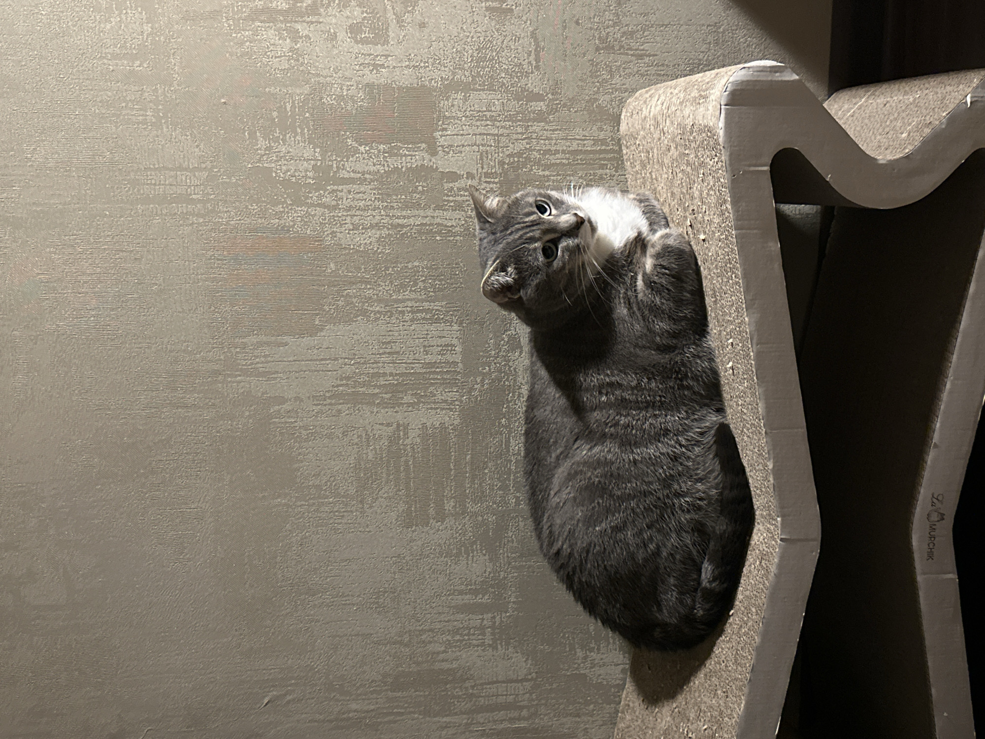 An adult, medium-haired, grey and white tabby cat with green eyes is lying on its side on a beige, corrugated cardboard cat scratching post. The cat is positioned in the lower-left quadrant of the image, facing towards the right. Its front paws are tucked under its chest, and its tail is curled around its body. The cat scratching post is set against a textured, neutral-colored wall, which occupies the upper two-thirds of the image. The lighting appears to be artificial, casting subtle shadows on the wall and the cat. The lower portion of the image shows another level of the cat scratching post, which is dark. The scene is indoors, in an environment that is not identifiable as a specific city.