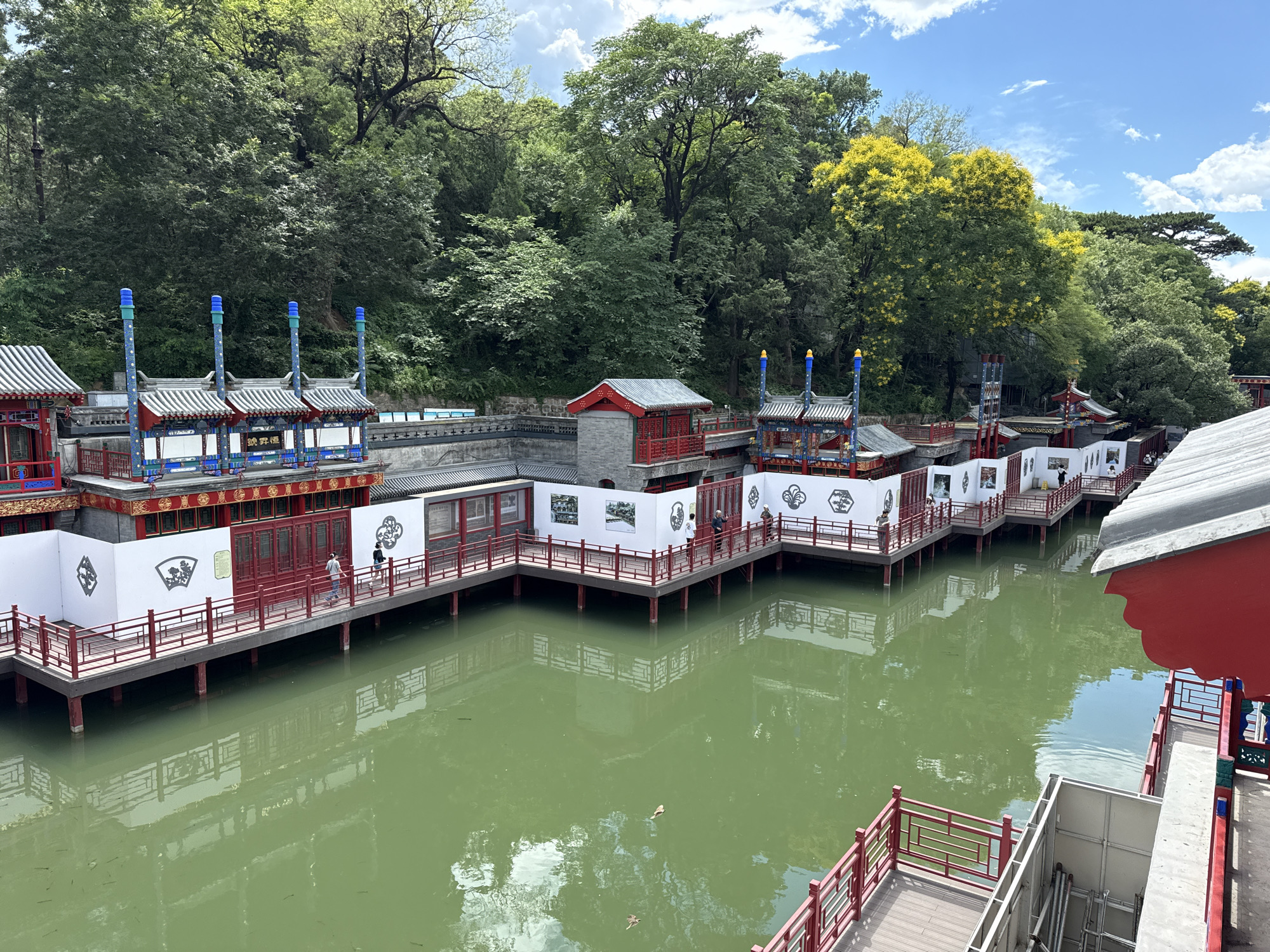 This image depicts a scenic view of the **Summer Palace (Yiheyuan)** in the Haidian District of Beijing, China. The scene features a series of traditional Chinese pavilions and walkways built along the edge of a tranquil, green-tinted body of water.
In the foreground and midground, a long, interconnected wooden walkway with red railings extends along the water's perimeter. This walkway is supported by stilts and forms multiple sections and turns. Along much of its length, white temporary panels are erected, featuring traditional Chinese decorative motifs such as fans and geometric patterns, and some displaying framed images or photographs. Several individuals are visible walking along this pathway; one person in a light-colored shirt and dark pants walks left-to-right, while another individual is seen further down the path.
Behind the walkway, a complex of traditional Chinese buildings stands, characterized by their red, white, and blue architectural elements. These structures have distinctive tiled roofs and decorative pillars, some topped with blue and yellow finials. One prominent structure features blue pillars with patterned bases and characters that read "涵远斋" (Hán Yuǎn Zhāi). Another red-roofed building connects the waterside structures to a higher stone wall.
The water itself is calm, reflecting portions of the sky and the surrounding structures, and small fish are discernible near the surface. The background is dominated by a dense, verdant hillside covered with numerous deciduous and coniferous trees. Some trees exhibit bright yellow blossoms, indicating a season of bloom. Above the tree line, a partly cloudy blue sky is visible, with scattered white clouds.