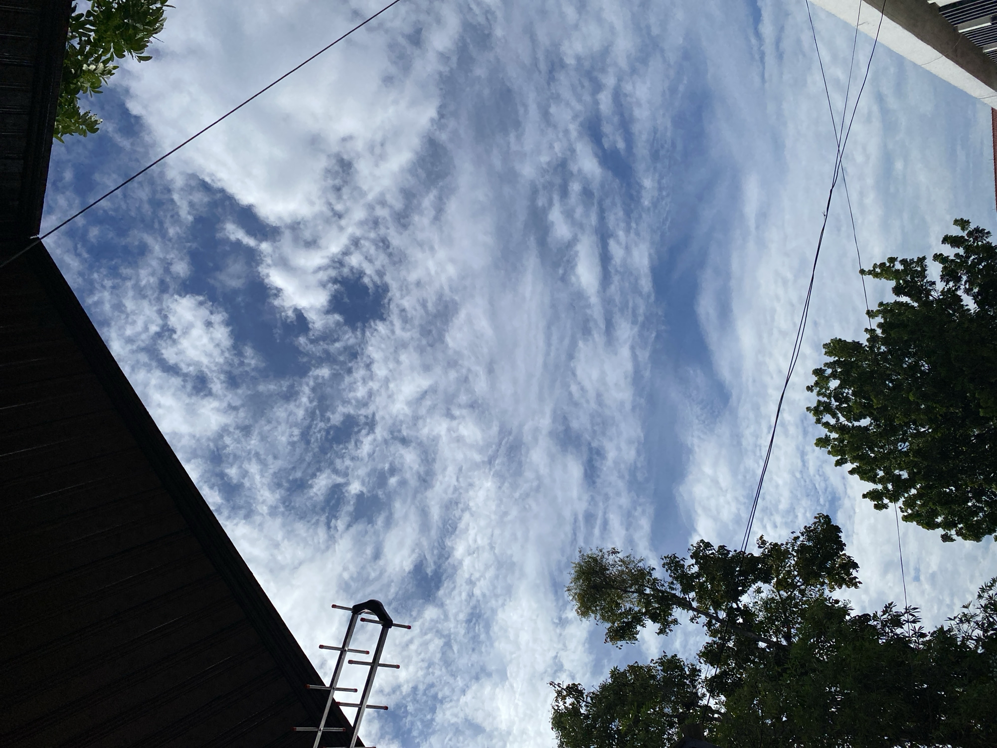This image depicts a view of the sky in Banda Aceh, Indonesia, framed by architectural elements and foliage. In the upper left quadrant, a dark, corrugated roof or awning juts into the frame, casting a shadow. Below this, a metallic television antenna with red tips is visible. The sky is a vibrant blue, filled with wispy white cirrus clouds, creating a dynamic pattern across the upper portion of the image.
On the left and bottom of the image, lush green trees with dense foliage are prominent. The leaves of these trees are sharply defined against the sky. Several dark electrical or communication wires traverse the frame horizontally and diagonally, intersecting the view of the sky and trees. In the lower right, a portion of a modern building with white trim and dark vertical louvers is visible. The scene suggests an outdoor urban or suburban environment on a bright, cloudy day. There are no people or animals visible in the image.