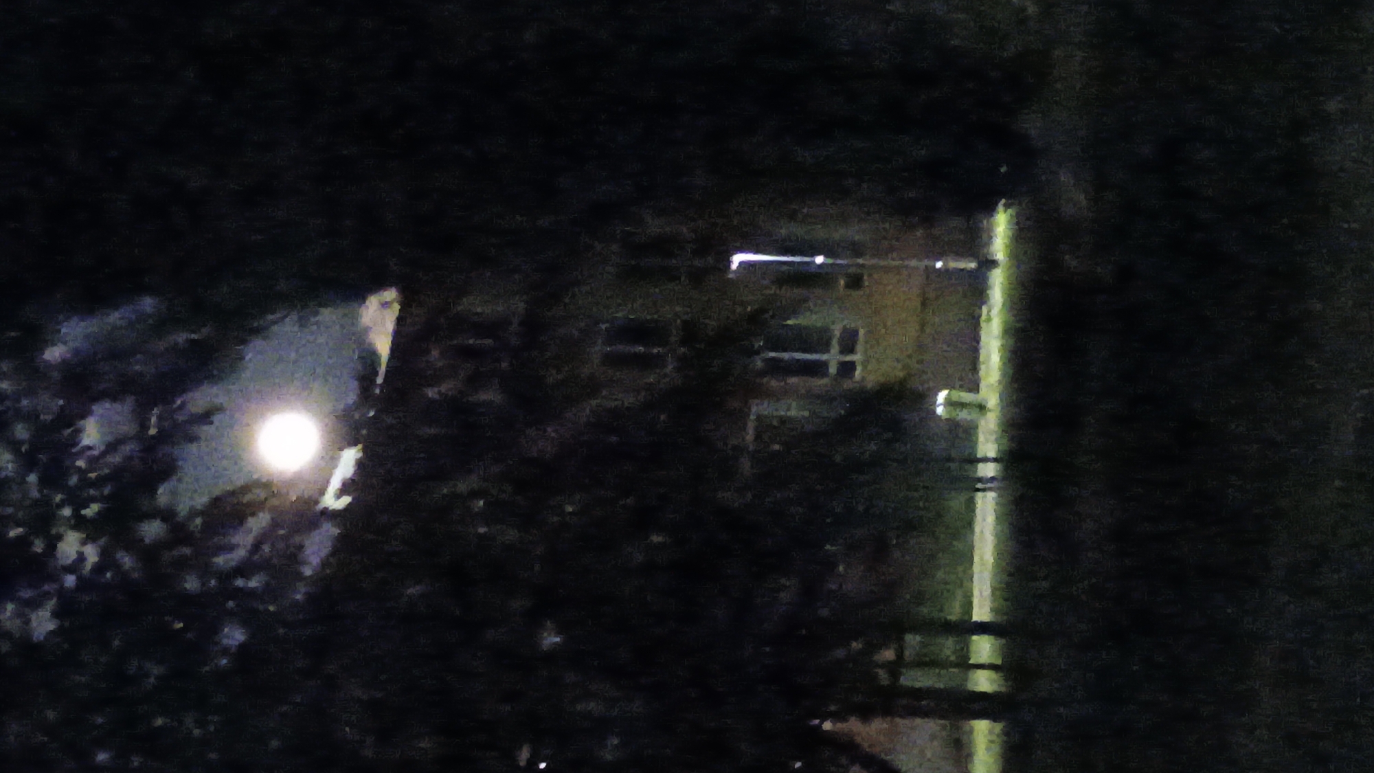 The image captures a nighttime scene in Sokolov, Czechia, with a bright full moon visible through the branches of a dark tree in the foreground. Behind the foliage, a multi-story building with lit windows and a street lamp is partially obscured. The ground in front of the building appears to be a grassy area, with some faint outlines of trees or structures. The overall atmosphere is dark and somewhat mysterious, with the moonlight creating a focal point in the composition.