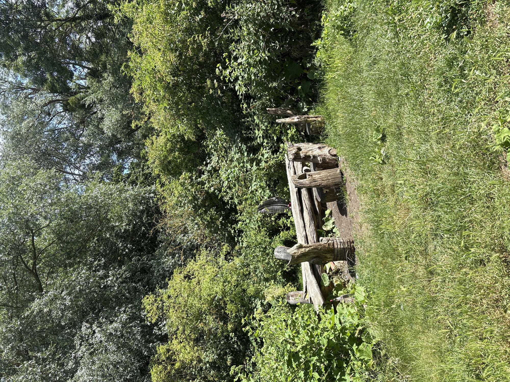 This media file depicts an outdoor scene featuring a rustic wooden bench set amidst lush green foliage. The bench, constructed from weathered logs, appears handcrafted and integrated into the natural environment. It is positioned to face away from the viewer, towards a dense thicket of trees and bushes. Tall, sun-drenched grass lines the right side of the image, suggesting a path or clearing alongside the wooded area.
The lighting indicates a sunny day, likely midday, given the bright illumination and the presence of shadows. The environment appears to be a natural setting, possibly a park, forest edge, or a secluded garden area. There are no people or animals visible in the scene. The overall mood is tranquil and serene, inviting a sense of peaceful solitude. The image is oriented vertically, with the grass and bench occupying the lower half and the foliage dominating the upper half. No text is visible in the media file.