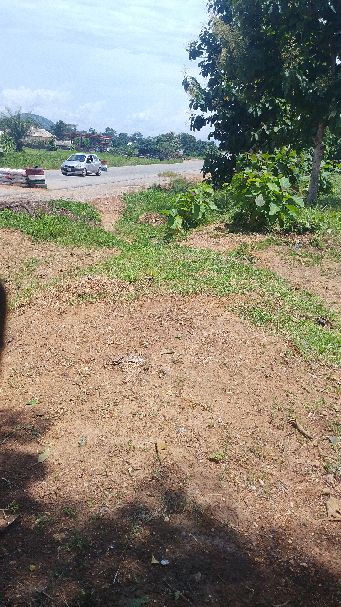 The image depicts a roadside scene in Serti, Nigeria. In the foreground, the ground is covered with dry, reddish-brown earth and sparse patches of dry grass. To the left, a shadow suggests the presence of a tree or structure not fully captured in the frame. A few scattered leaves and small stones are visible on the ground.
In the middle ground, a paved road curves to the left. A silver sedan is driving on the road, moving away from the viewer. To the left of the road, a barrier is constructed from stacked sandbags and several tires painted in red, white, and green. Beyond the road, there are trees and vegetation, with some buildings visible in the distance, suggesting a rural or semi-urban setting. A large tree with green leaves and some white flowers is prominent on the right side of the frame, extending into the middle ground.
The sky is overcast with scattered white clouds. The overall impression is a bright, sunny day in a natural environment adjacent to a roadway. The scene appears to be an open area, possibly a section of a road undergoing some form of temporary traffic management or construction.