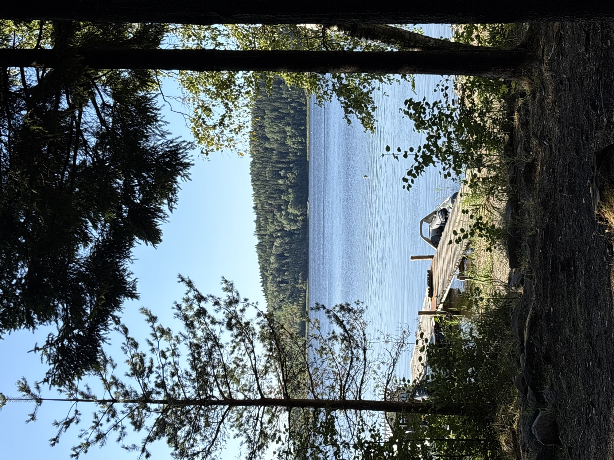 A low-angle, full shot captures a serene waterfront scene in Rautalakhti, Russia. The foreground is dominated by the dark shadows of tall pine and fir trees, with a thin pine tree on the left framing the view. Below the trees, a rocky, debris-strewn ground transitions to a wooden dock. The dock, weathered and uneven, extends out into a calm, blue lake. A small inflatable boat with an outboard motor is moored to the dock on the right side. The lake stretches towards a densely forested hillside on the far shore, under a clear, bright blue sky. The overall impression is one of a tranquil, natural setting.