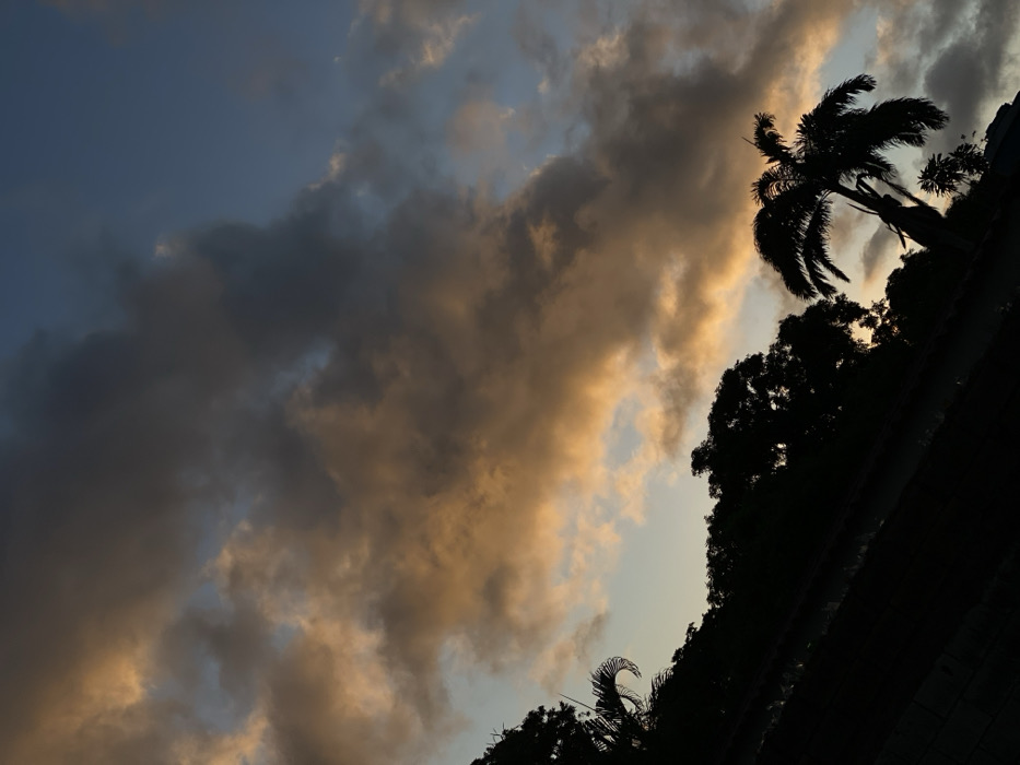 An image shows a dramatic sky with dark and golden clouds, likely during sunset or sunrise. Silhouetted against the sky are palm trees and other vegetation, suggesting a tropical or subtropical location. The angle of the shot is slightly tilted, giving a sense of dynamic composition. The scene evokes a feeling of tranquility with a touch of drama in the sky.