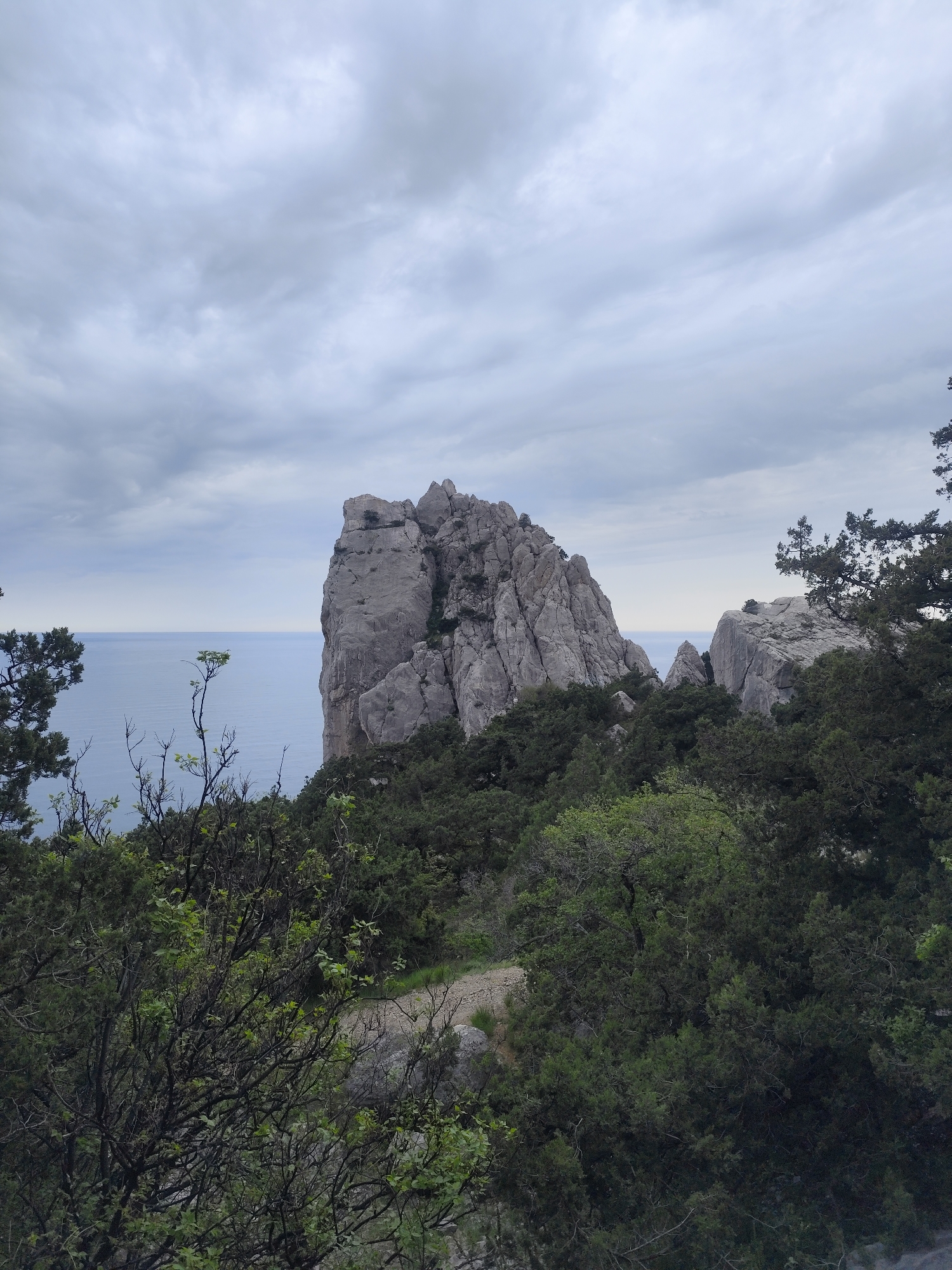 The image captures a rocky landscape on an overcast day in an unknown location in the city of Unknown, Unknown. In the foreground, dense green vegetation, including trees and bushes, obscures the view. A large, craggy rock formation dominates the midground, its gray surface marked by numerous cracks and crevices. The sea stretches to the horizon under a sky filled with heavy, gray clouds.