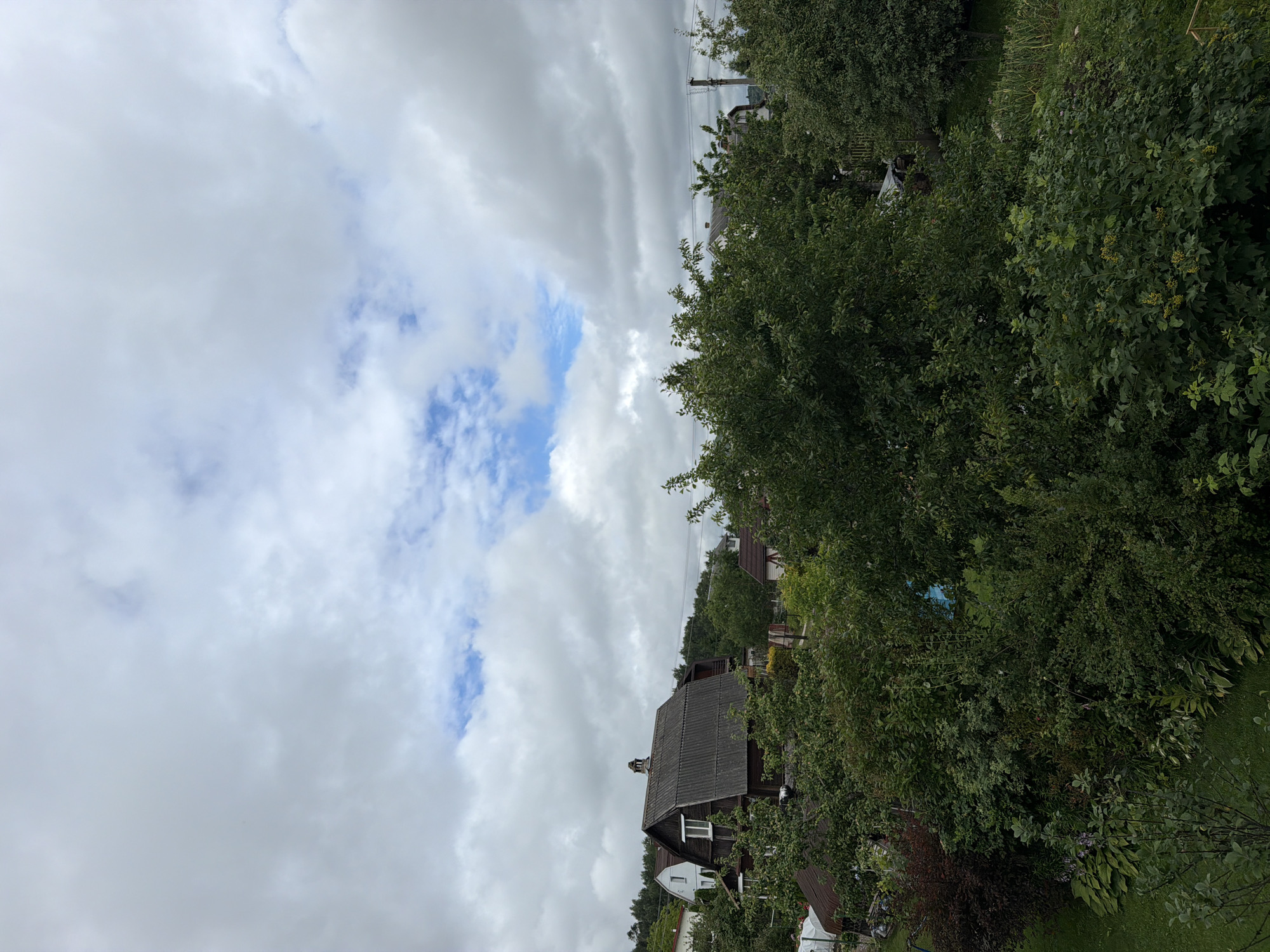 The image captures a view of a village or rural settlement, possibly in the Папярнянскі сельскі Савет, Belarus. The foreground is dominated by dense green foliage, with various trees and bushes filling the lower half of the frame. A patch of green lawn is visible on the left side.
In the middle ground, several houses are partially visible through the trees. The most prominent is a dark-colored house with a gabled roof covered in corrugated material. It has a chimney and a visible window. To its left, a lighter-colored house with a pitched roof is also seen. Further to the right, smaller structures and outbuildings can be glimpsed.
The background features a gentle slope covered in trees, suggesting a hilly or elevated terrain. A power line with poles runs horizontally across the upper middle section of the image.
The sky is overcast with large, grey clouds, interspersed with patches of blue sky, indicating a cloudy or partly cloudy day. The overall impression is of a green, somewhat overgrown rural environment under a diffused light. There are no people visible in the image.