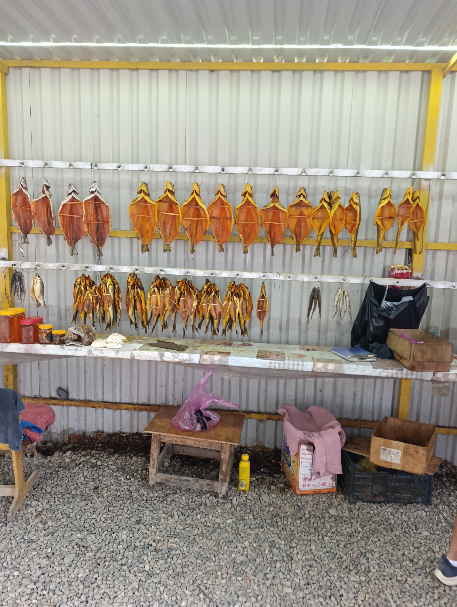 This image depicts an outdoor market stall in Balykchy, Kyrgyzstan, specializing in dried fish. The stall features multiple rows of dried fish hanging from a metal rack, with a corrugated metal wall as a backdrop. The fish are displayed in various sizes and stages of preparation. Below the hanging fish, a long table holds an assortment of items, including jars of what appears to be honey or preserves, bags of small dried fish, and white, bulbous objects that could be dried snacks. A black trash bag and a cardboard box are also visible on the table. In the foreground, a rustic wooden stool is placed on a gravel-covered ground. Scattered around the area are more wooden crates, a yellow plastic bottle, and a pink plastic bag. The overall scene suggests a functional, open-air marketplace.