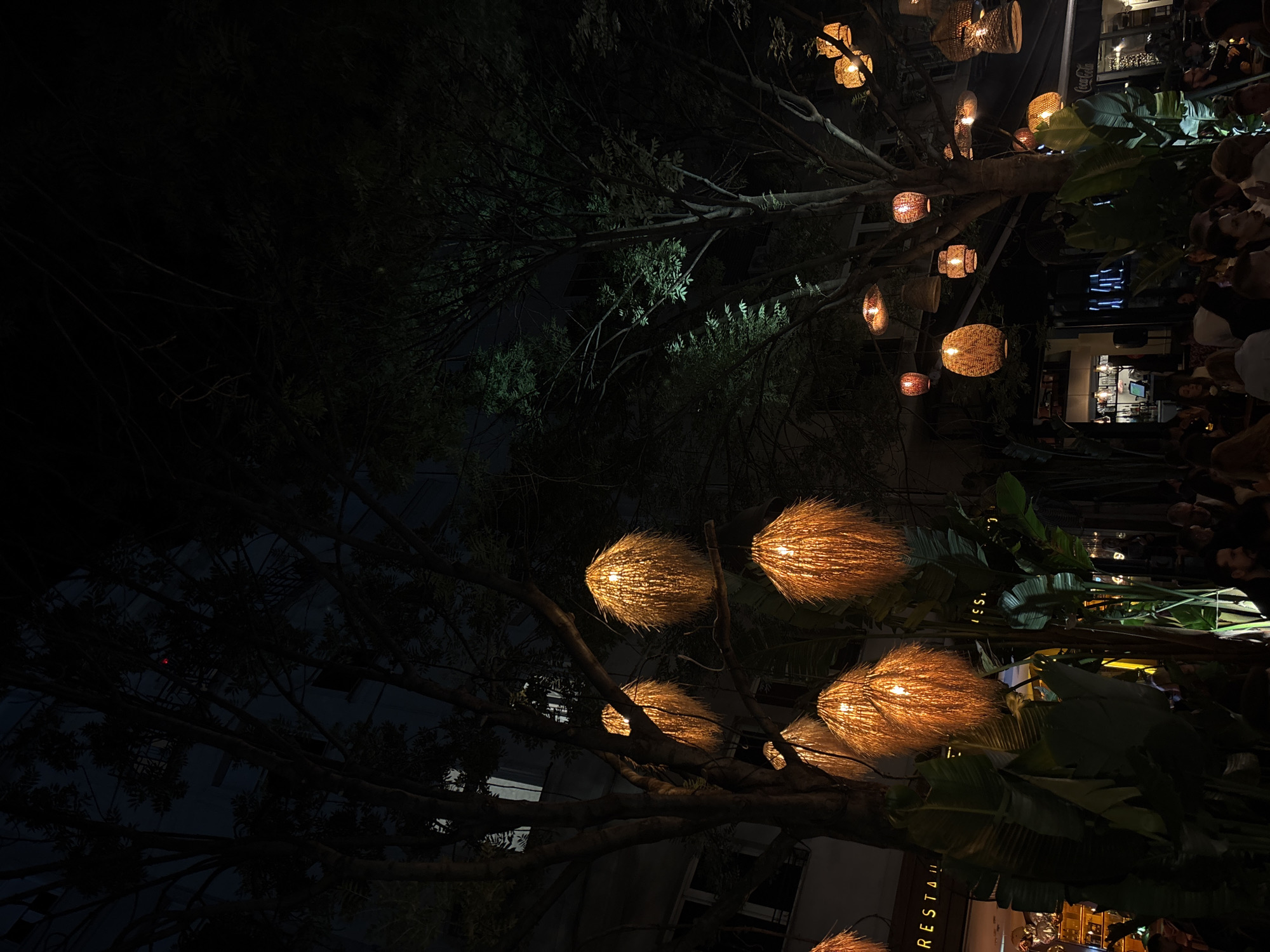 The image depicts an outdoor scene, likely in Belgrade, Serbia, given the 'RESTAURANT' signage partially visible at the bottom of the frame. The primary focus is on illuminated, spherical, wicker-like light fixtures hanging from tree branches. The scene appears to be at night, indicated by the low ambient light and the bright illumination from the light fixtures. The branches are primarily bare, with some foliage visible. In the background, towards the right side of the image, there is a gathering of people. A building with windows is also faintly visible in the background. Tropical plants appear in the foreground.