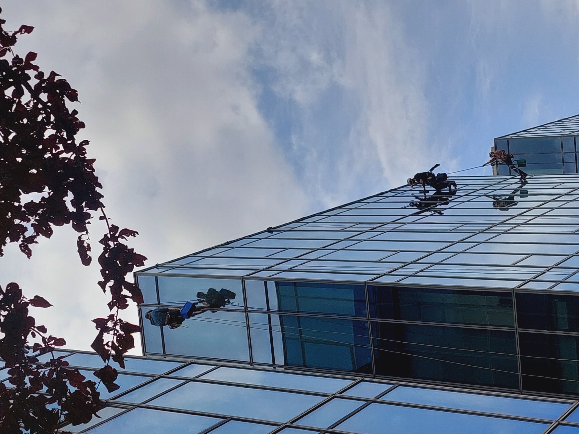 The image depicts a side view of a modern glass-facade building, likely in Sofia, Bulgaria, under a cloudy sky. Several individuals are engaged in window cleaning activities, suspended by ropes from the building's roof. The workers are positioned at different heights on the building's exterior. One worker is near the top, equipped with a harness and a blue bucket. Further down, another worker is also suspended, cleaning the windows. In the lower portion of the building, two more figures are visible, also engaged in the same task, suggesting a coordinated effort. Dark foliage from a tree hangs into the frame from the top left corner. The reflective glass surfaces of the building mirror the sky and surrounding structures, creating a sense of depth and urban environment.